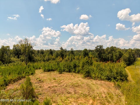 Vacant Land For Sale - Slick Parker Road<br/> Noxapater, MS 39346