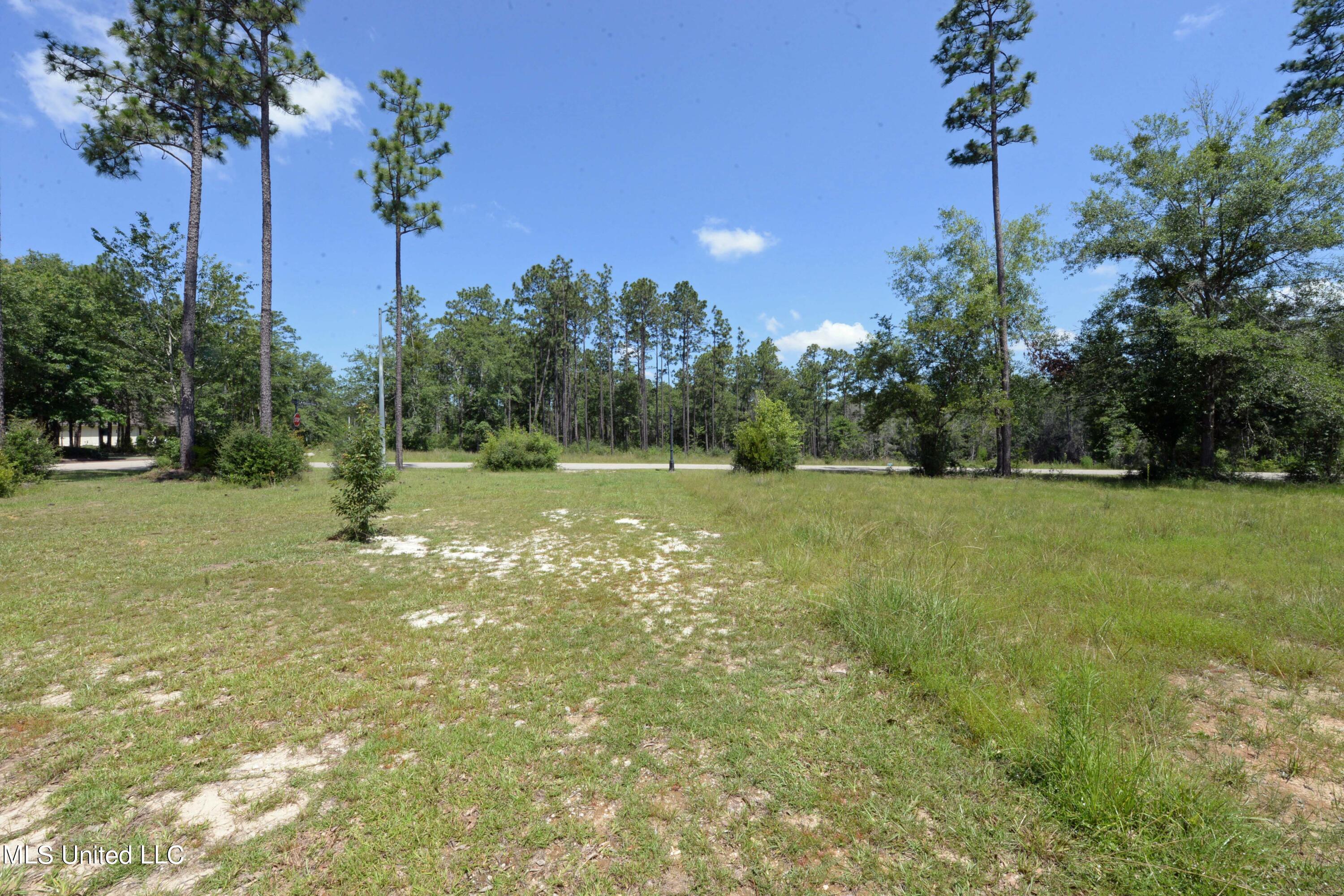 12436 Preservation Drive, Gulfport, Mississippi image 14