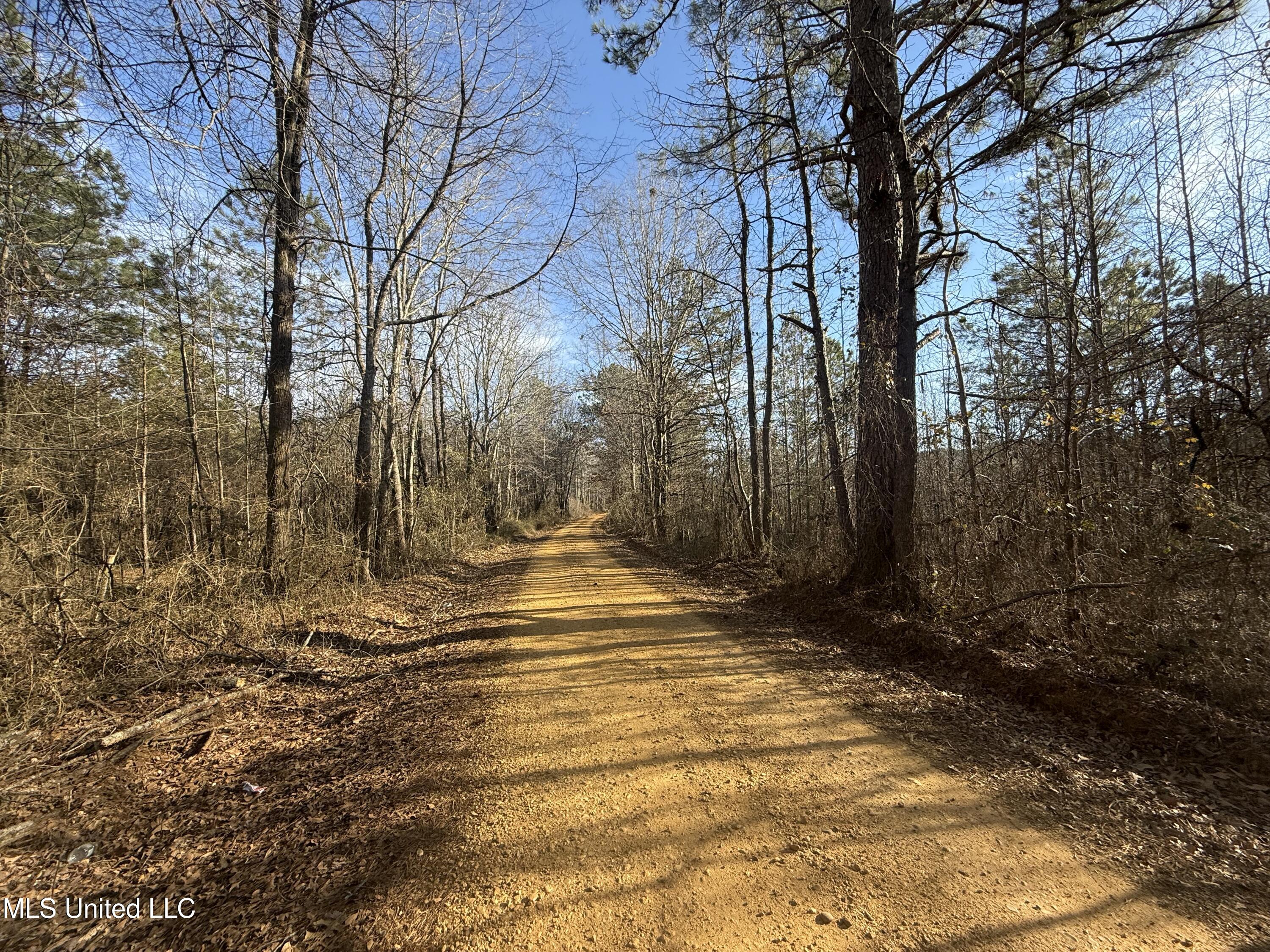 404 Country Road 373, Iuka, Mississippi image 14