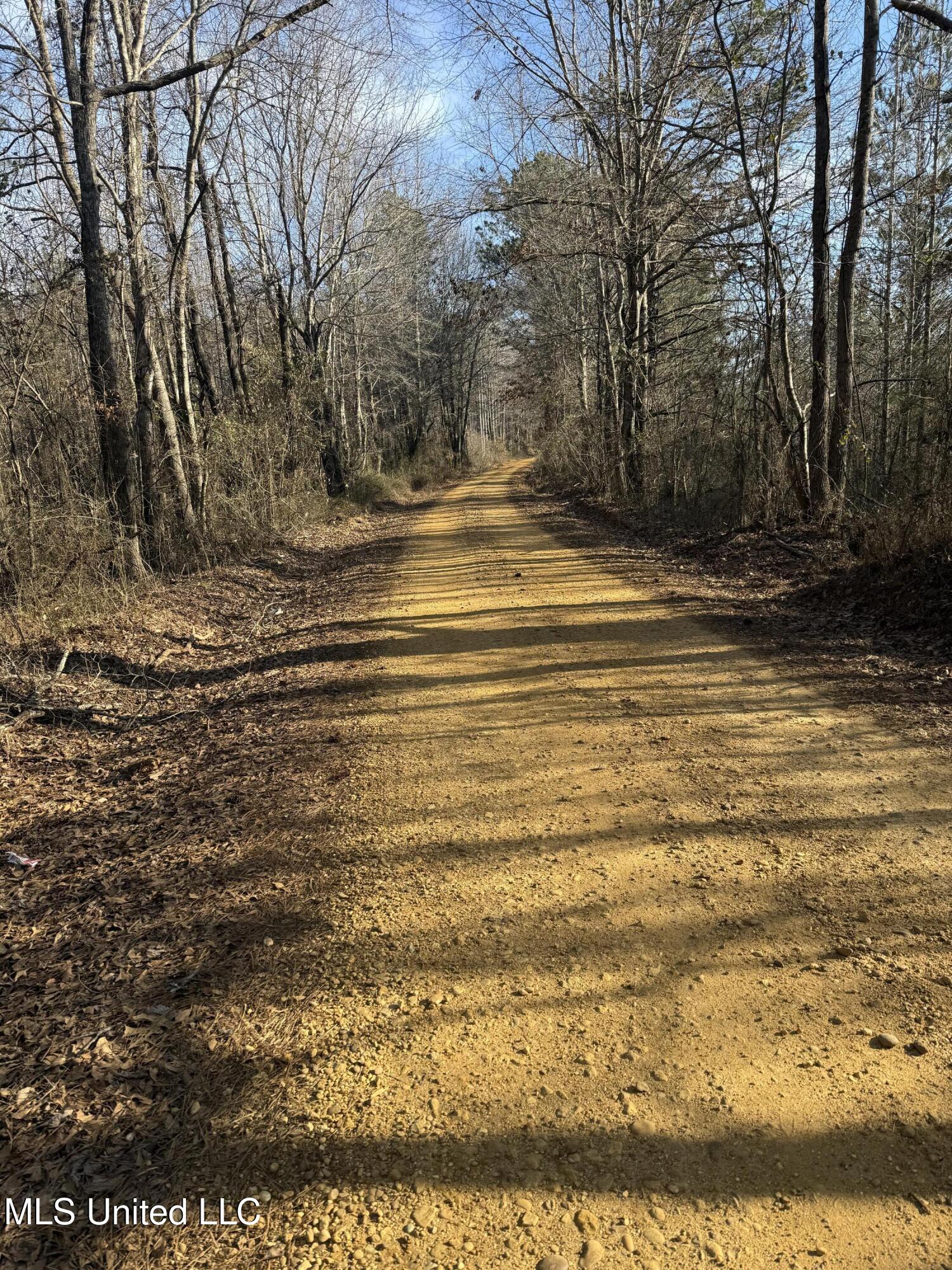 404 Country Road 373, Iuka, Mississippi image 11