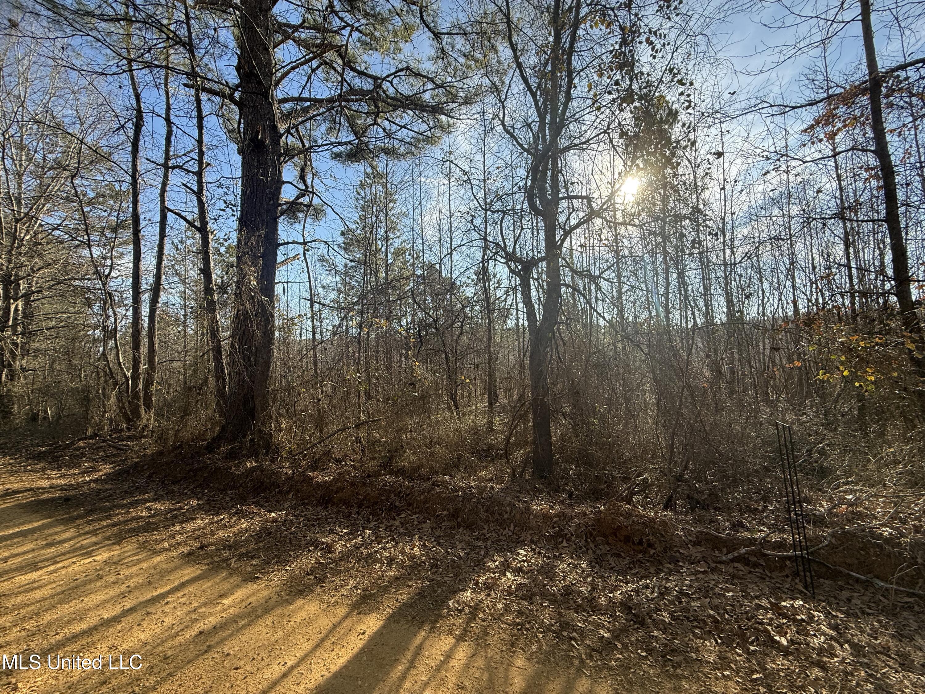 404 Country Road 373, Iuka, Mississippi image 13