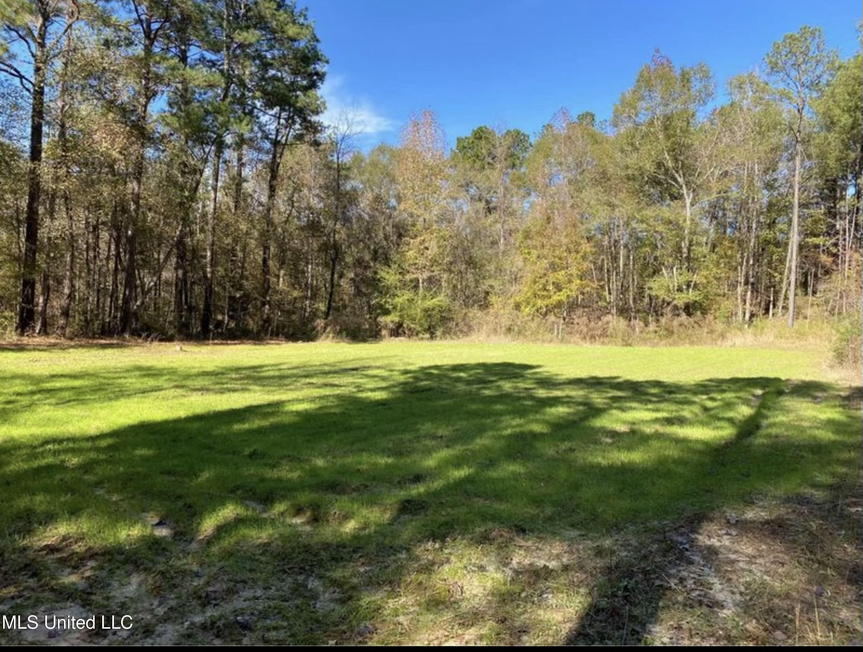 Shillings Hill Road, Roxie, Mississippi image 17