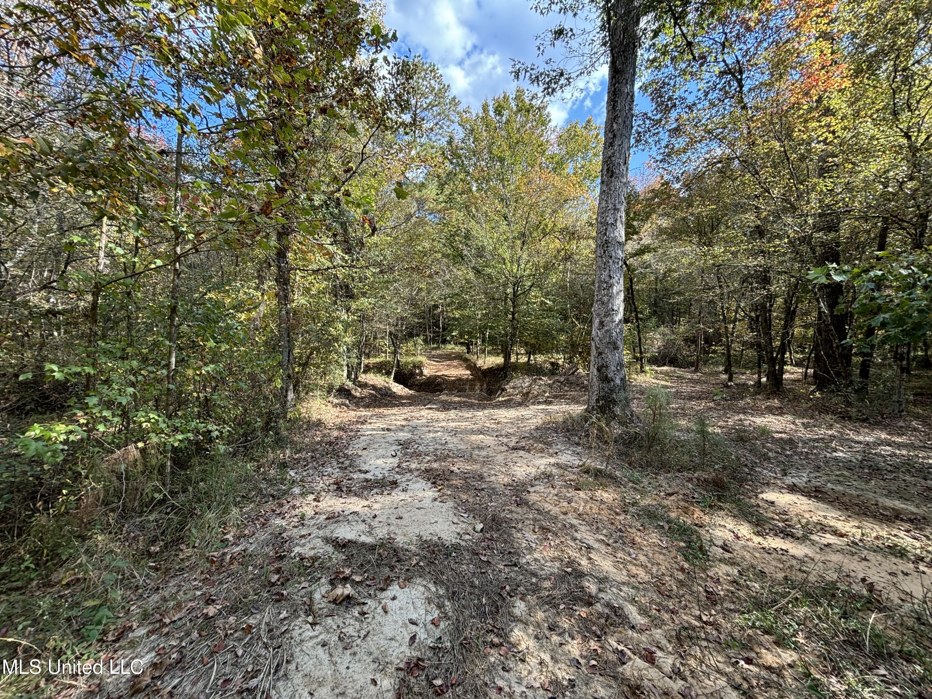 Shillings Hill Road, Roxie, Mississippi image 1