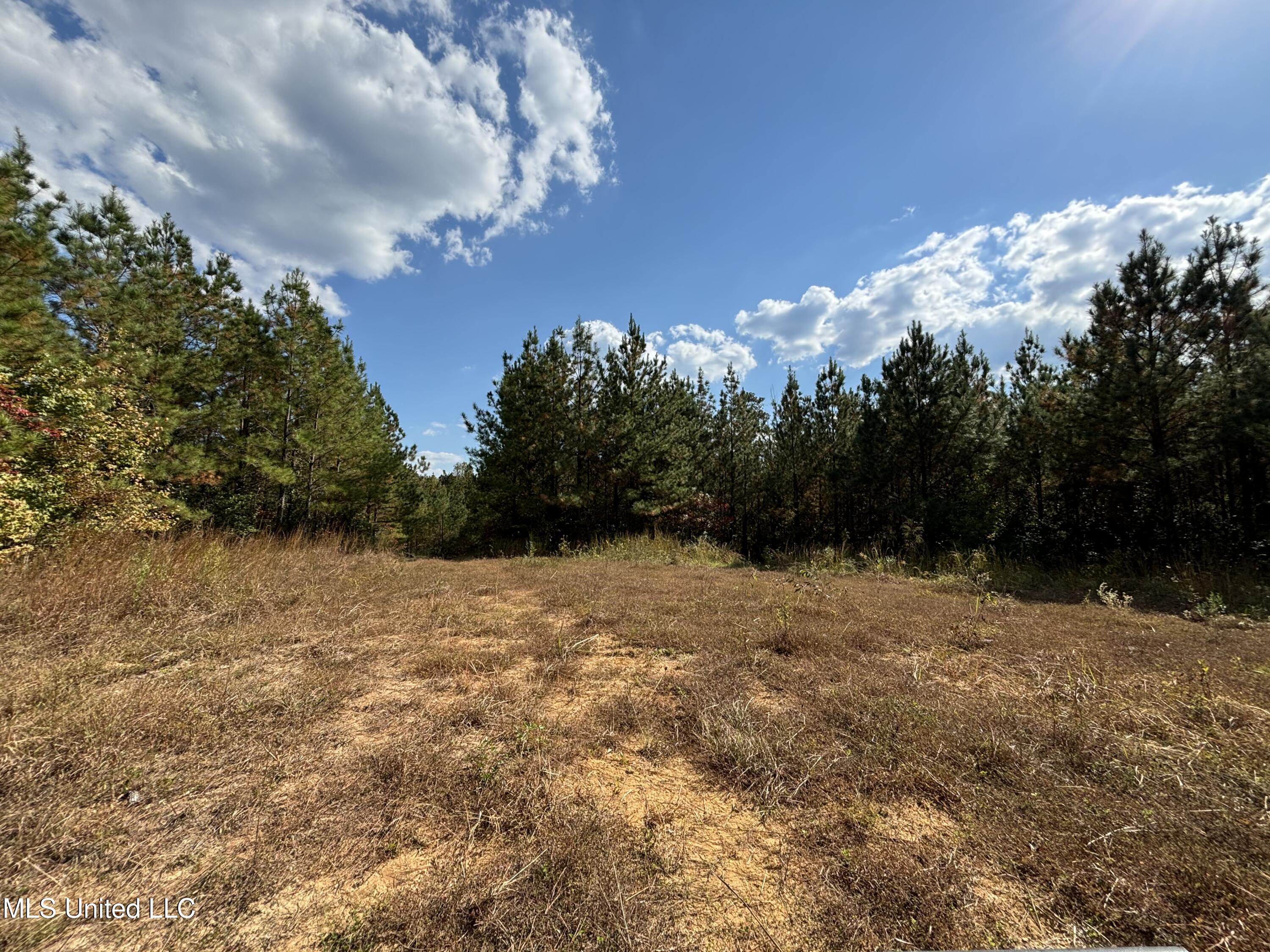 Shillings Hill Road, Roxie, Mississippi image 7