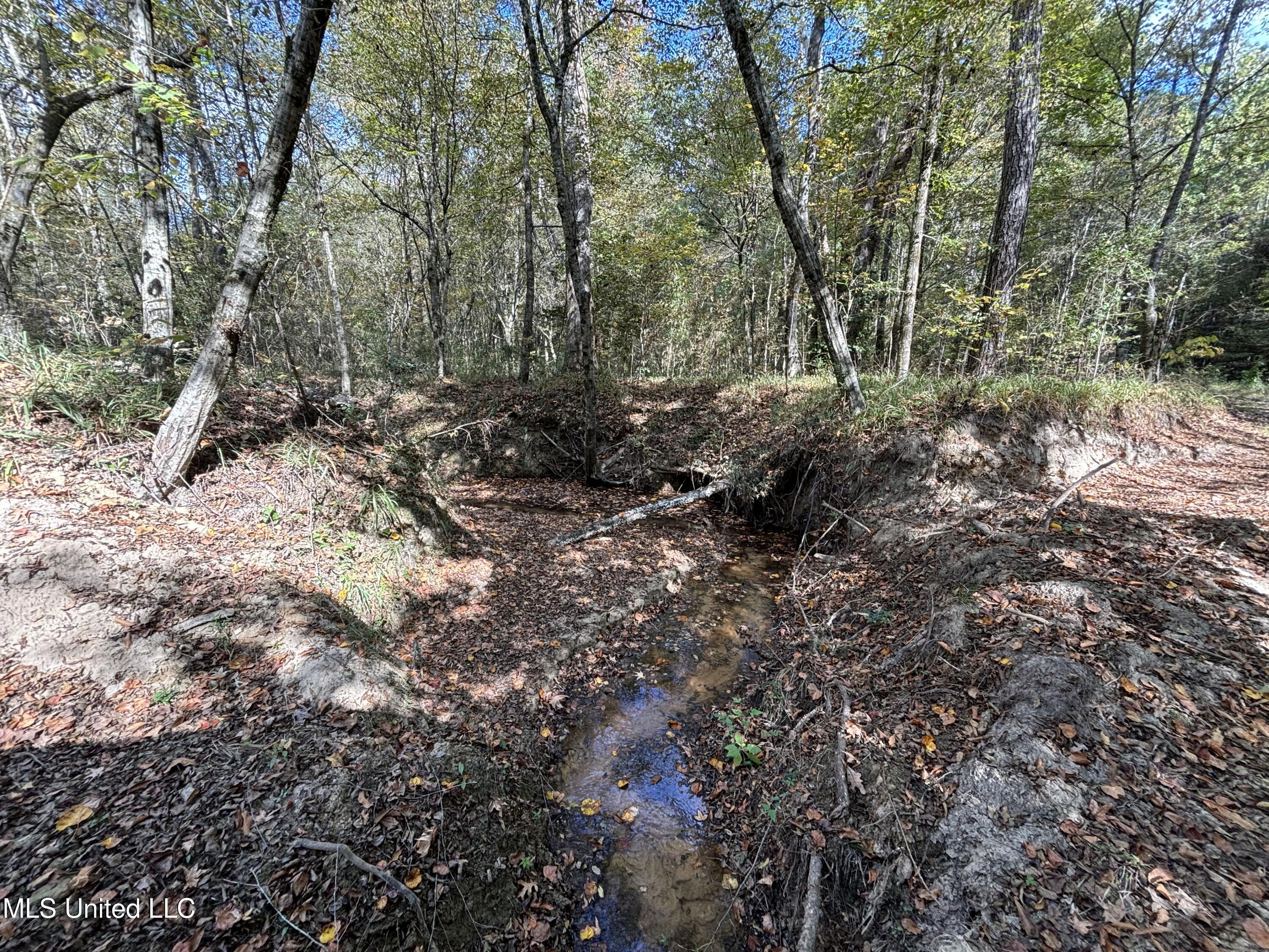 Shillings Hill Road, Roxie, Mississippi image 3