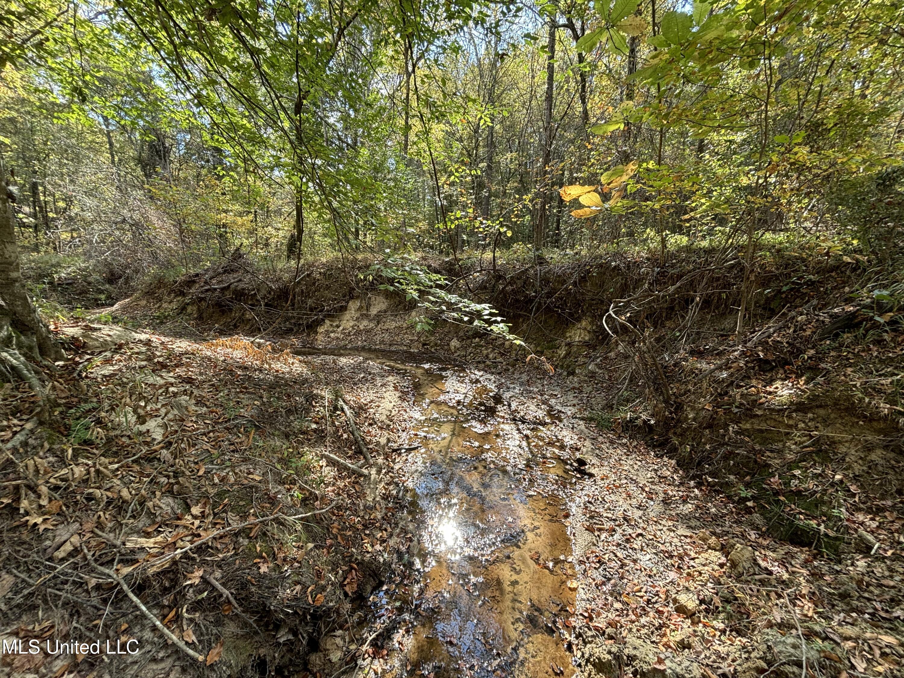 Shillings Hill Road, Roxie, Mississippi image 2