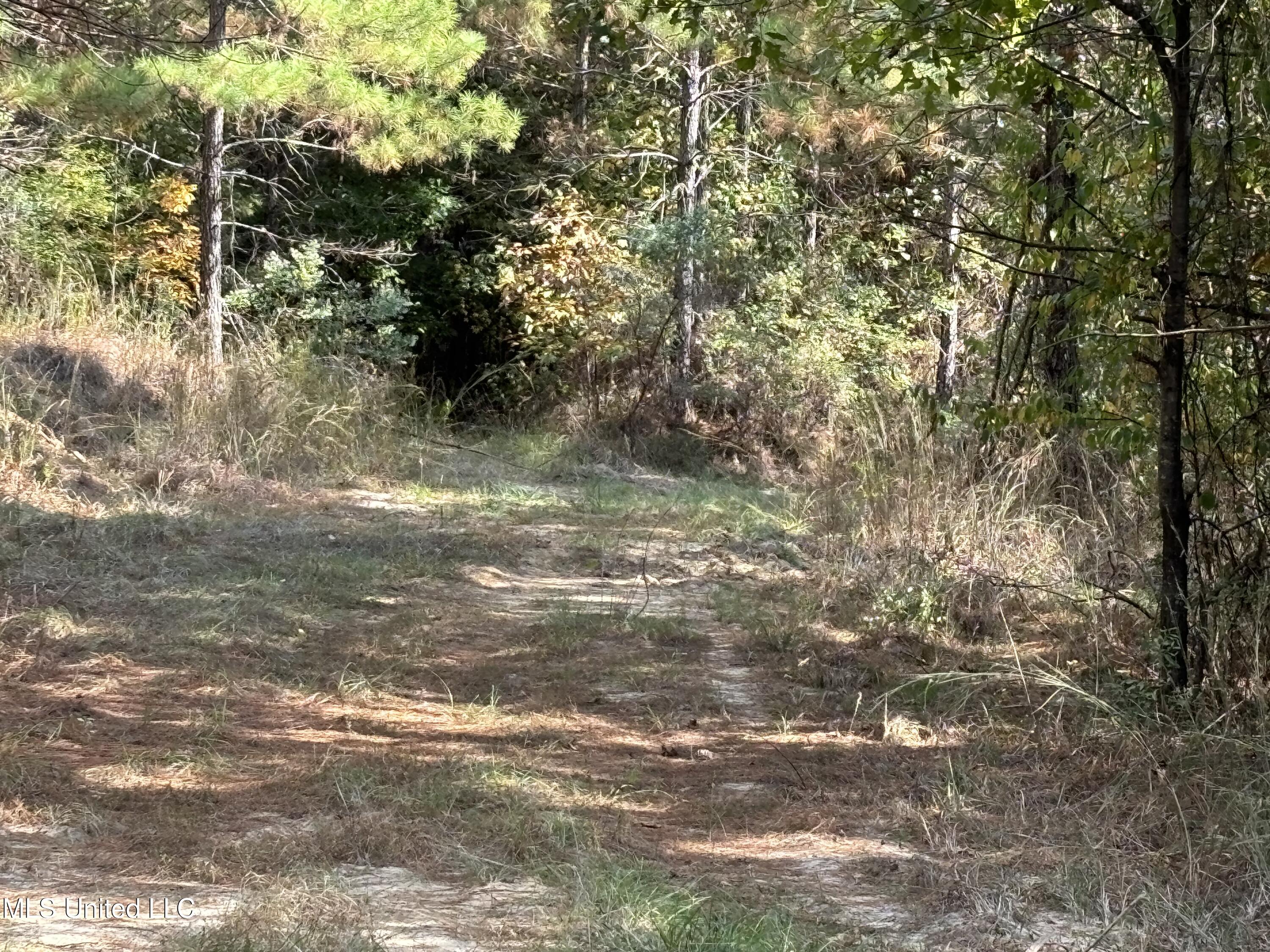 Shillings Hill Road, Roxie, Mississippi image 6