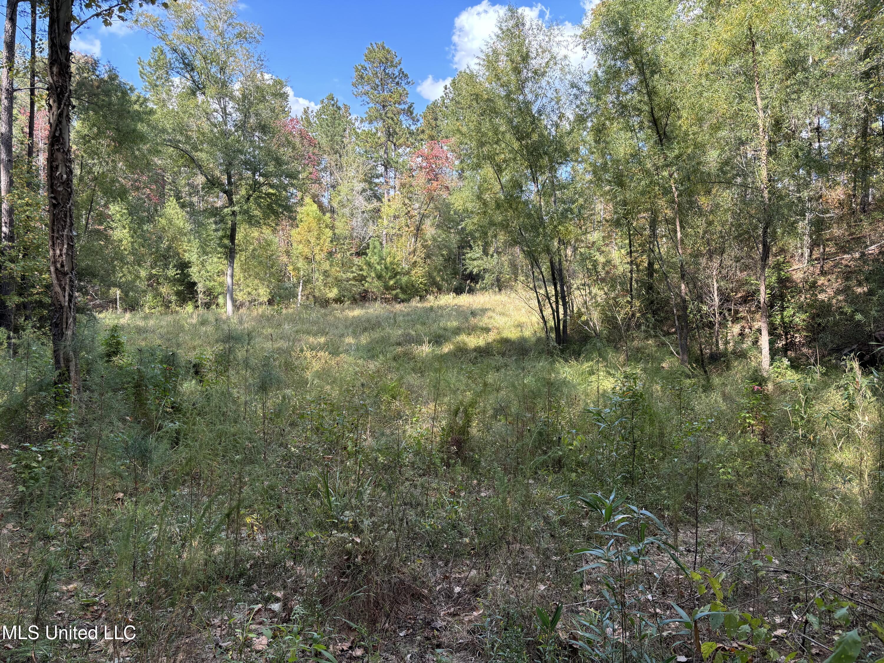 Shillings Hill Road, Roxie, Mississippi image 8