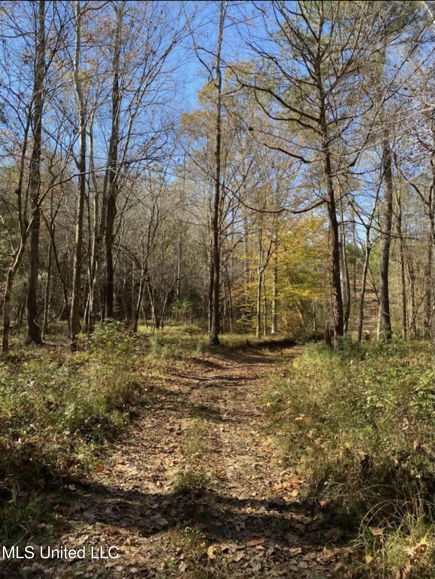 Shillings Hill Road, Roxie, Mississippi image 20