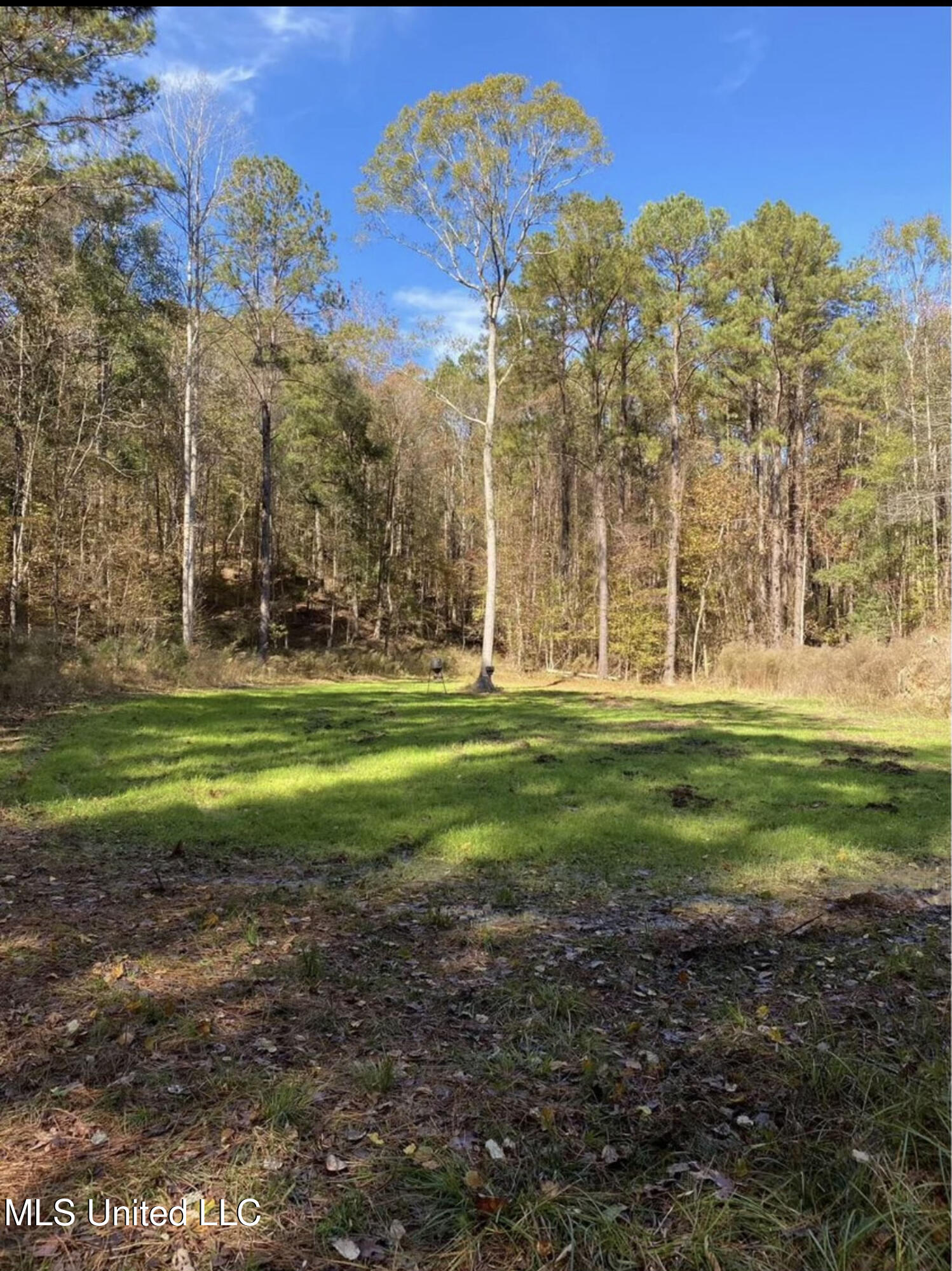 Shillings Hill Road, Roxie, Mississippi image 18