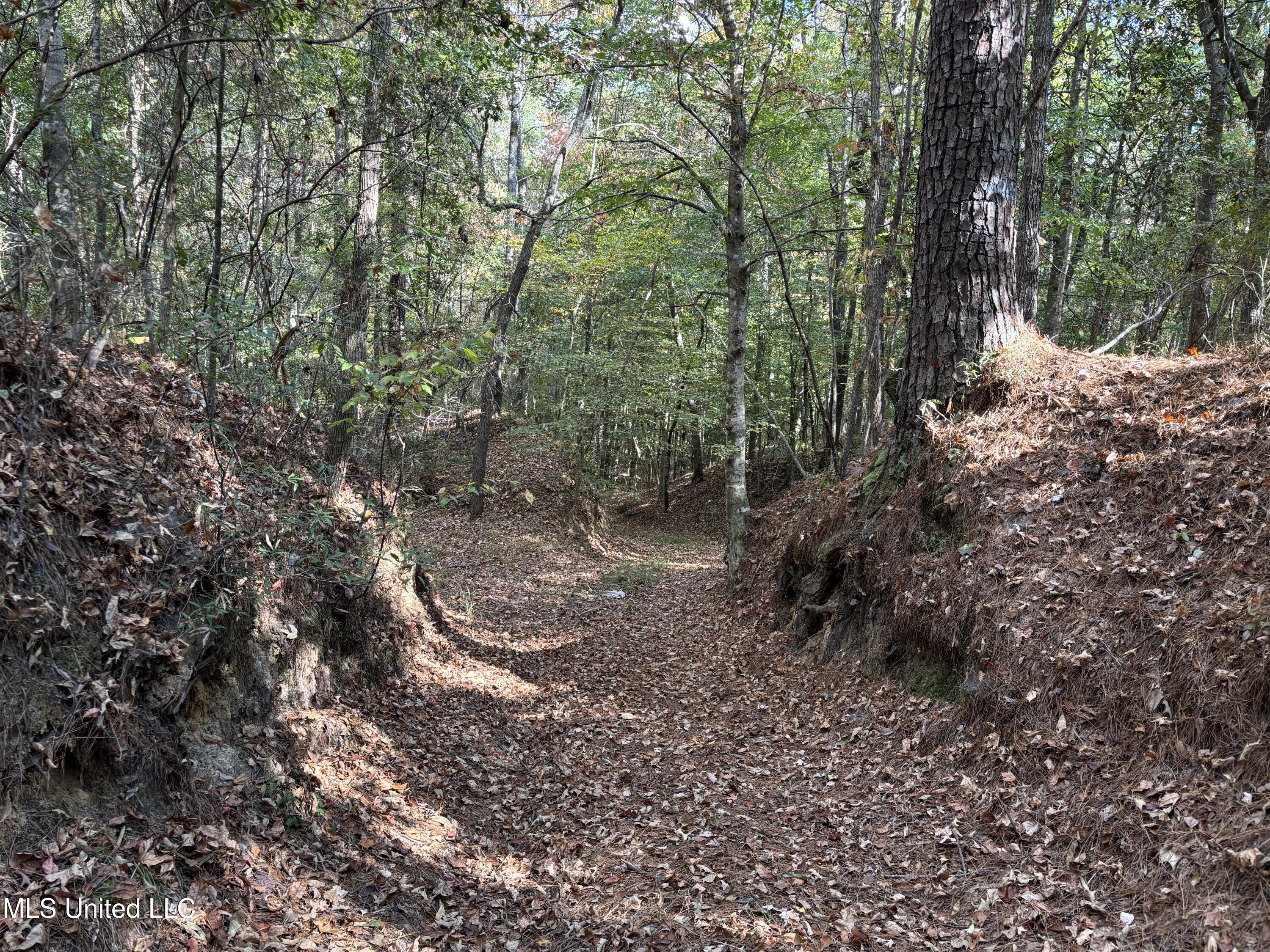 Shillings Hill Road, Roxie, Mississippi image 13