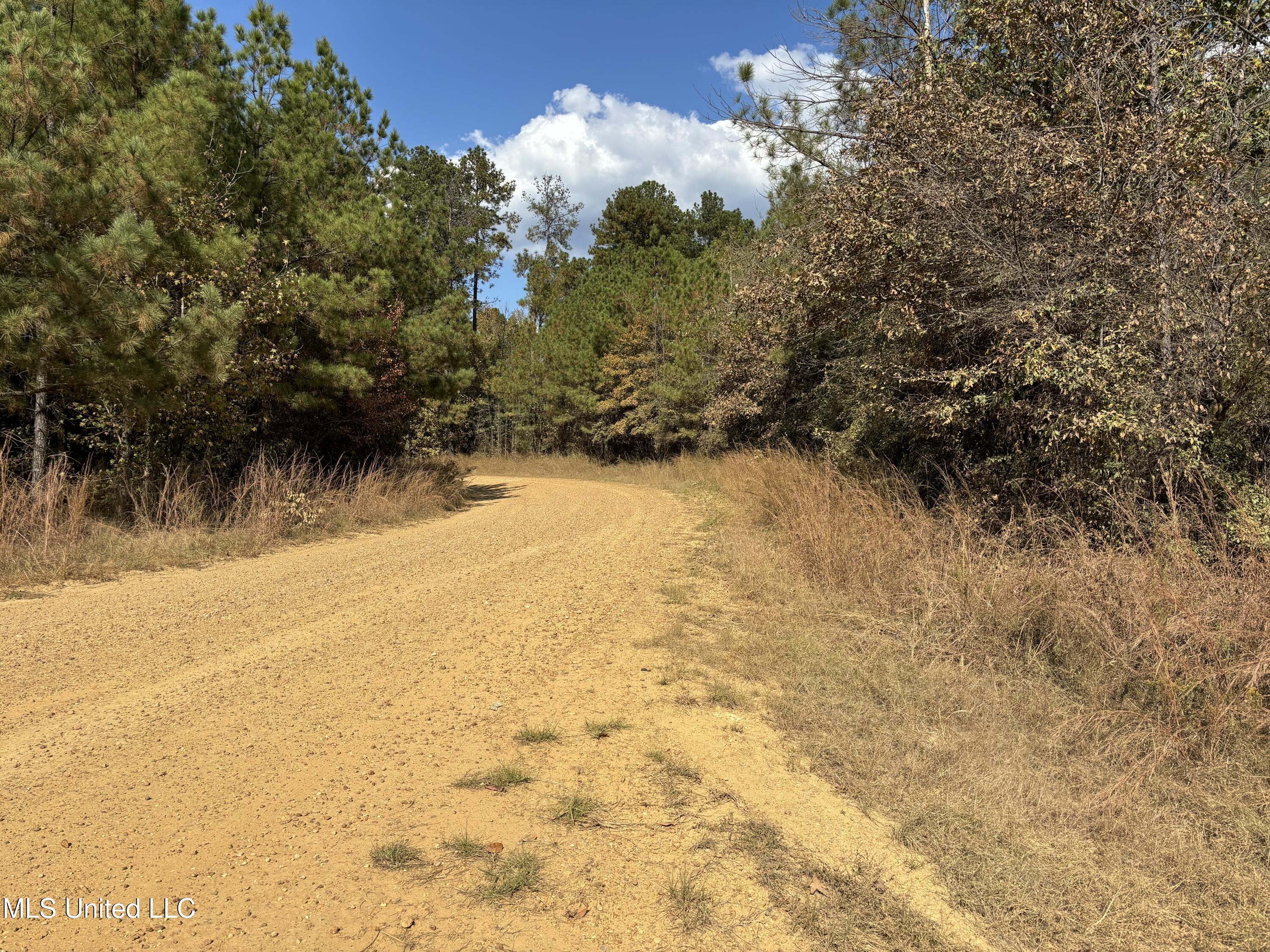 Shillings Hill Road, Roxie, Mississippi image 5