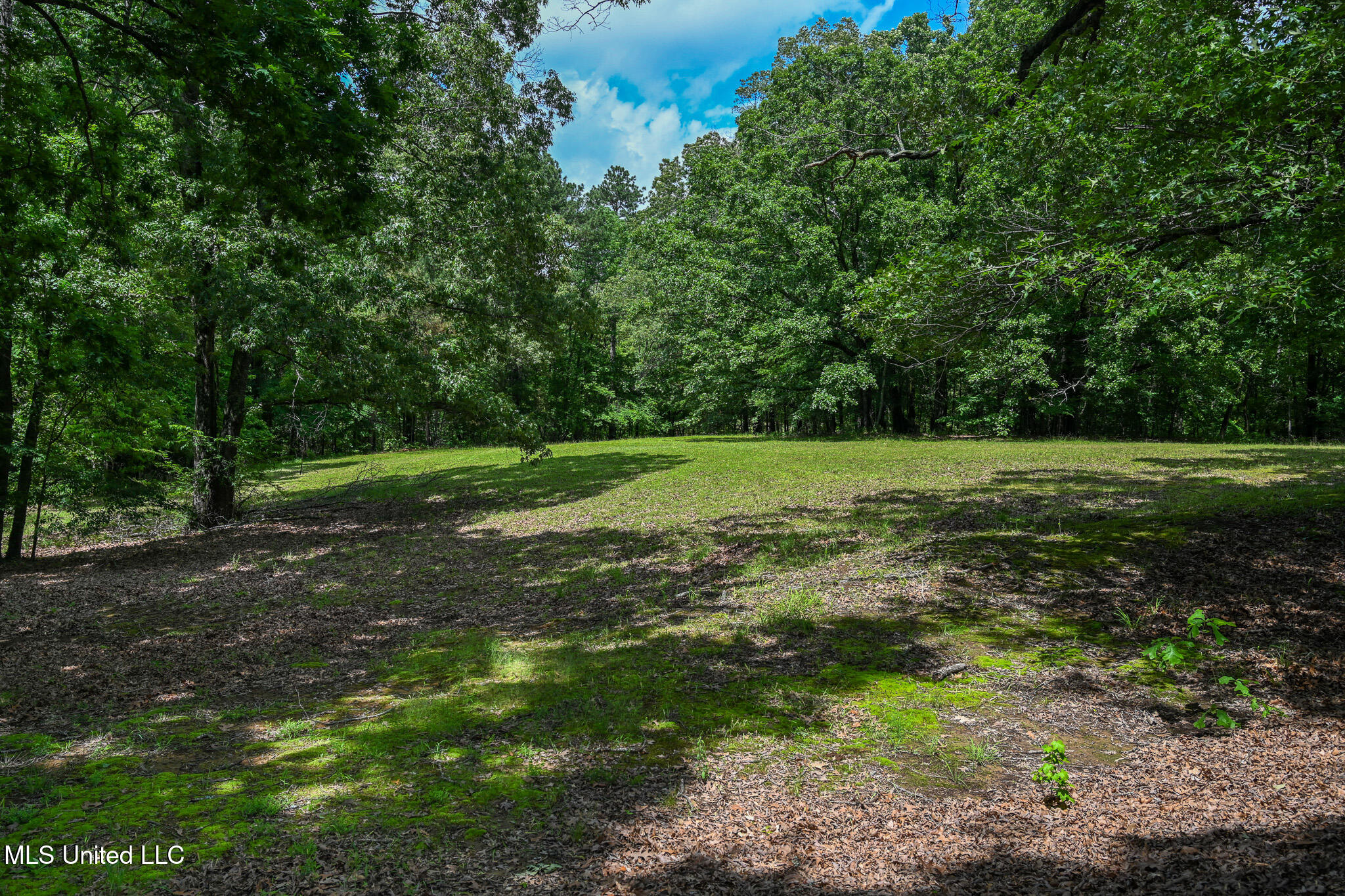 Lot 5 Woodlawn Road, Byhalia, Mississippi image 7