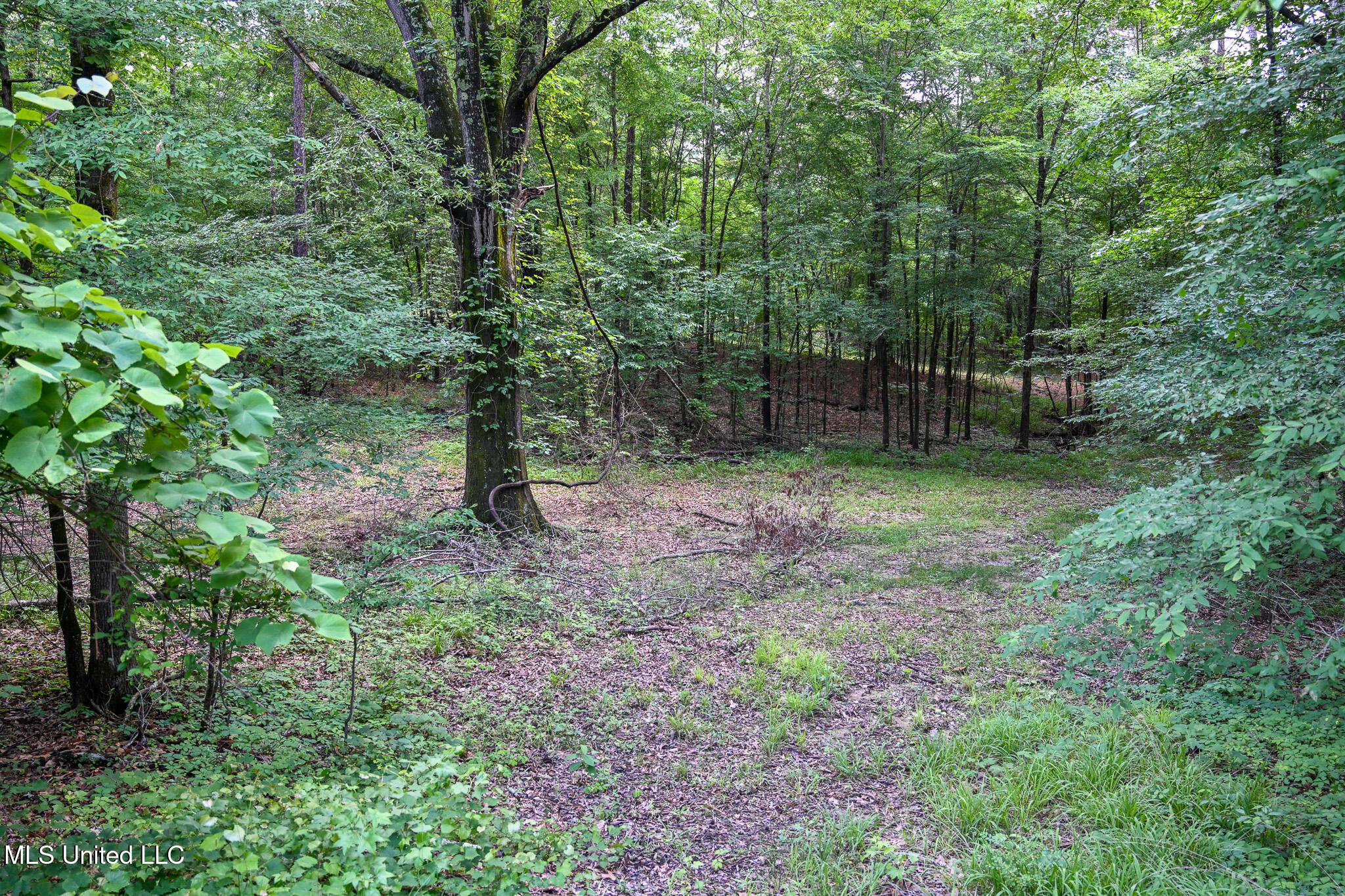 Lot 5 Woodlawn Road, Byhalia, Mississippi image 11