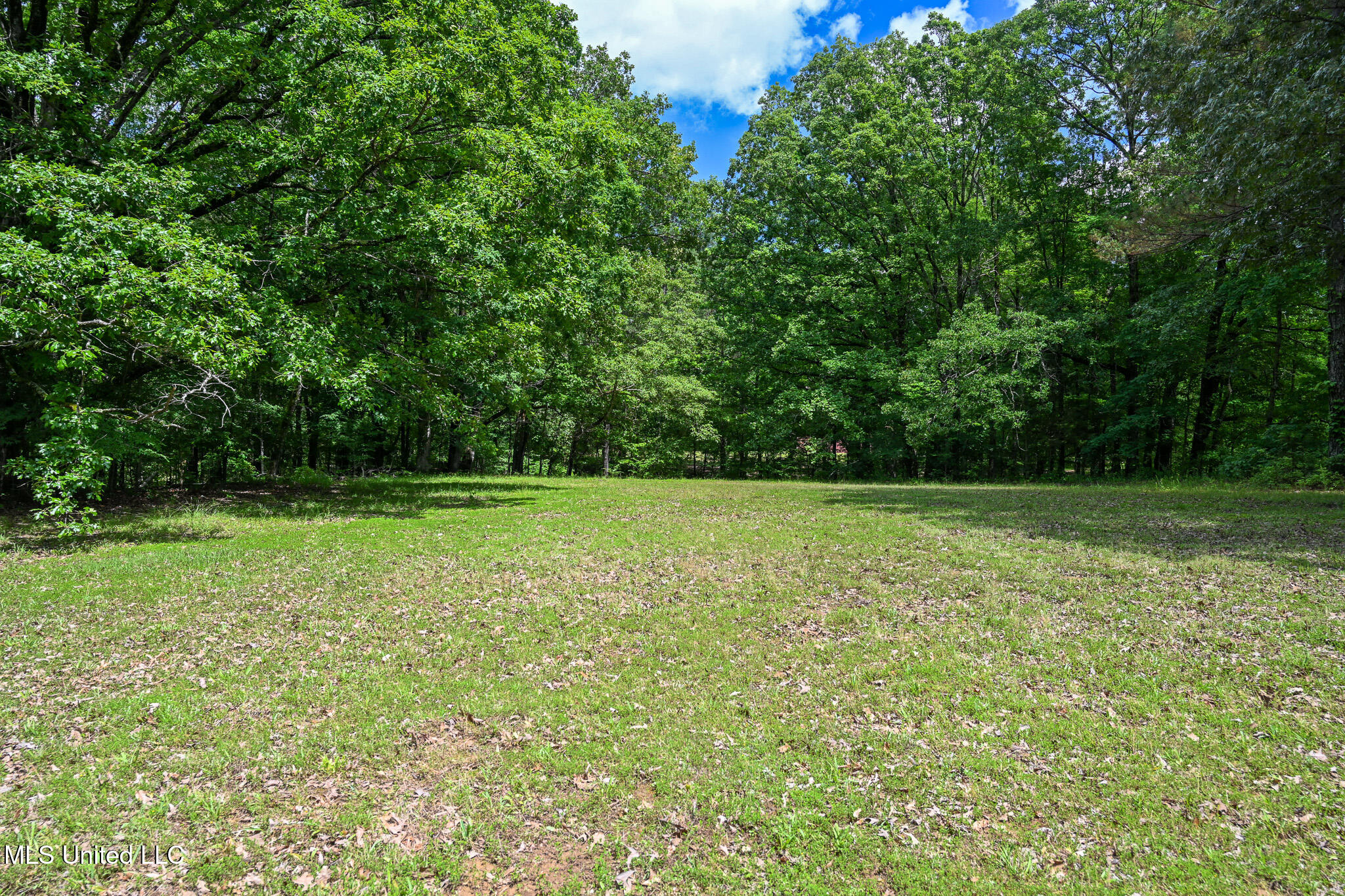 Lot 5 Woodlawn Road, Byhalia, Mississippi image 8
