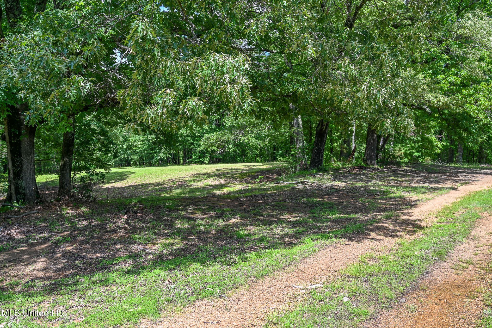 Lot 5 Woodlawn Road, Byhalia, Mississippi image 6