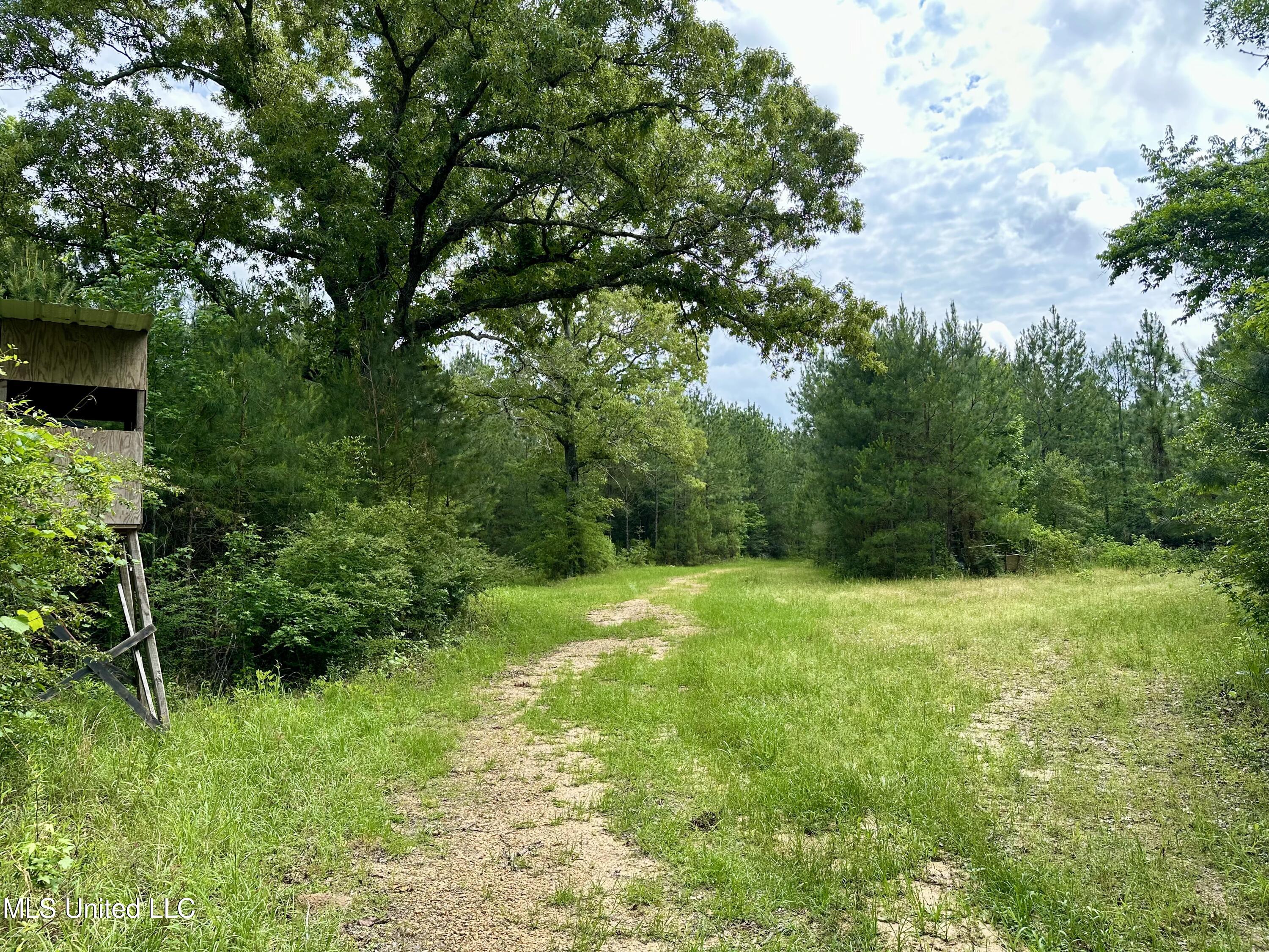 000 Old State Line Road, Tylertown, Mississippi image 1