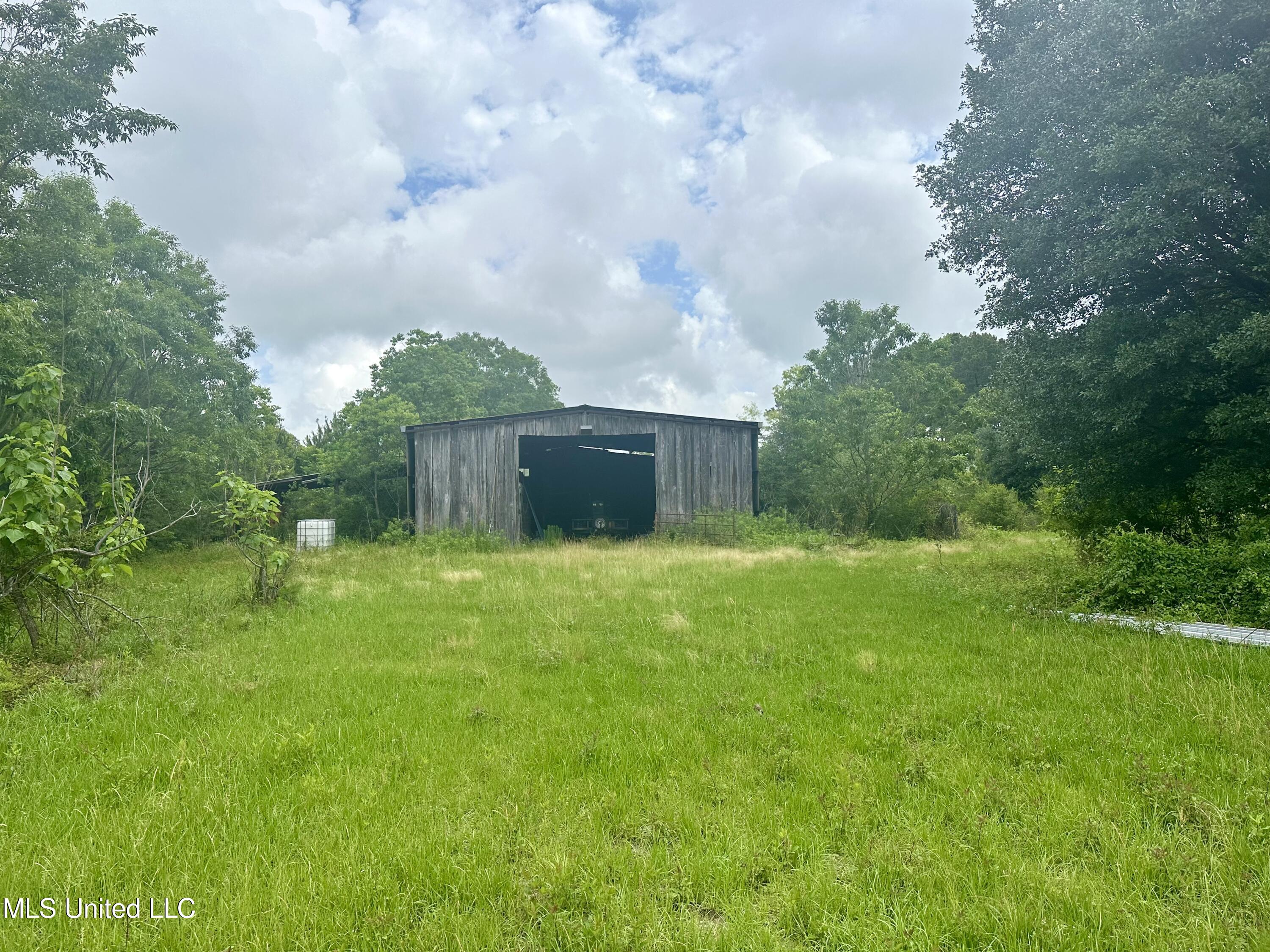 000 Old State Line Road, Tylertown, Mississippi image 9