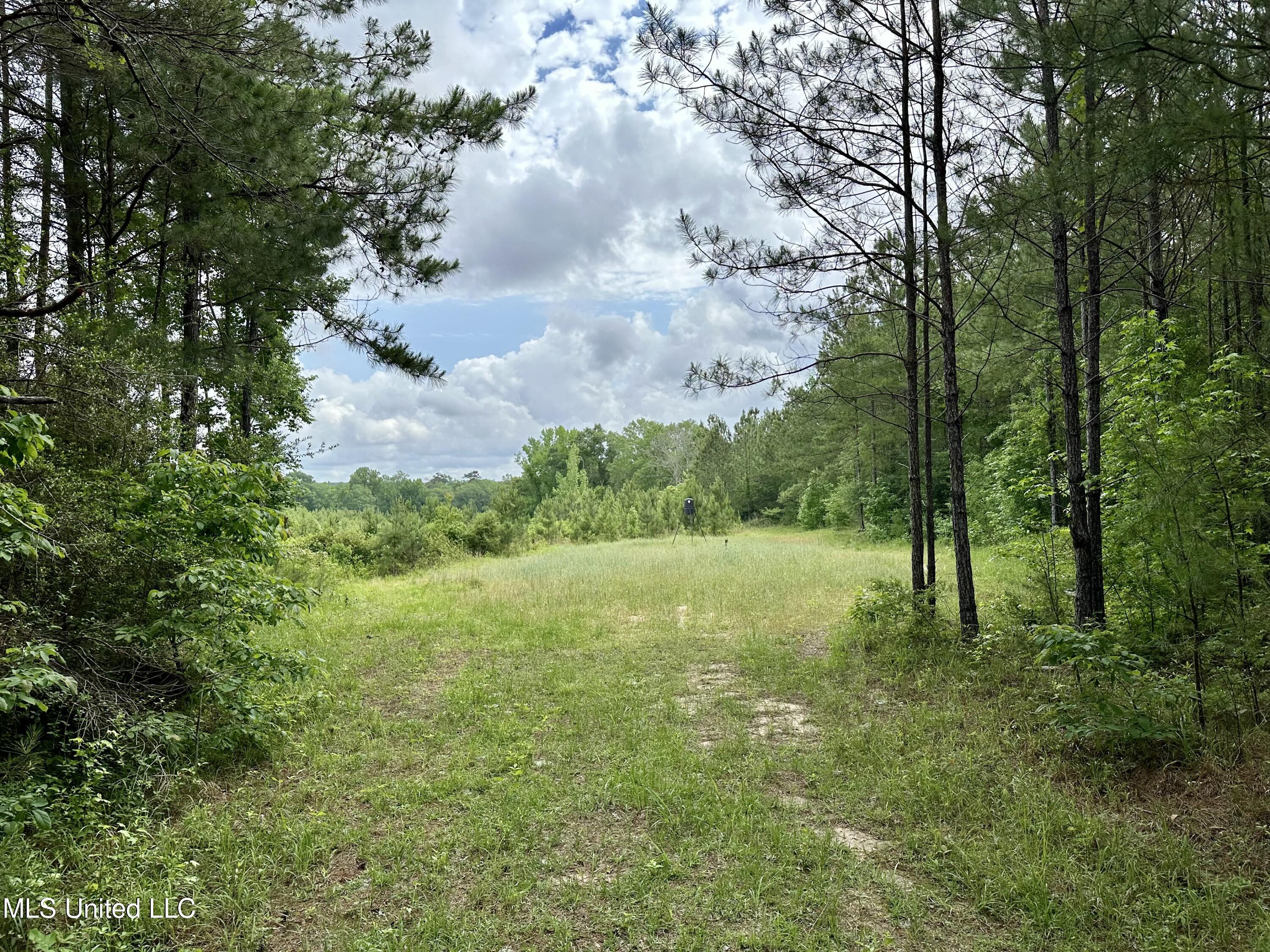 000 Old State Line Road, Tylertown, Mississippi image 10