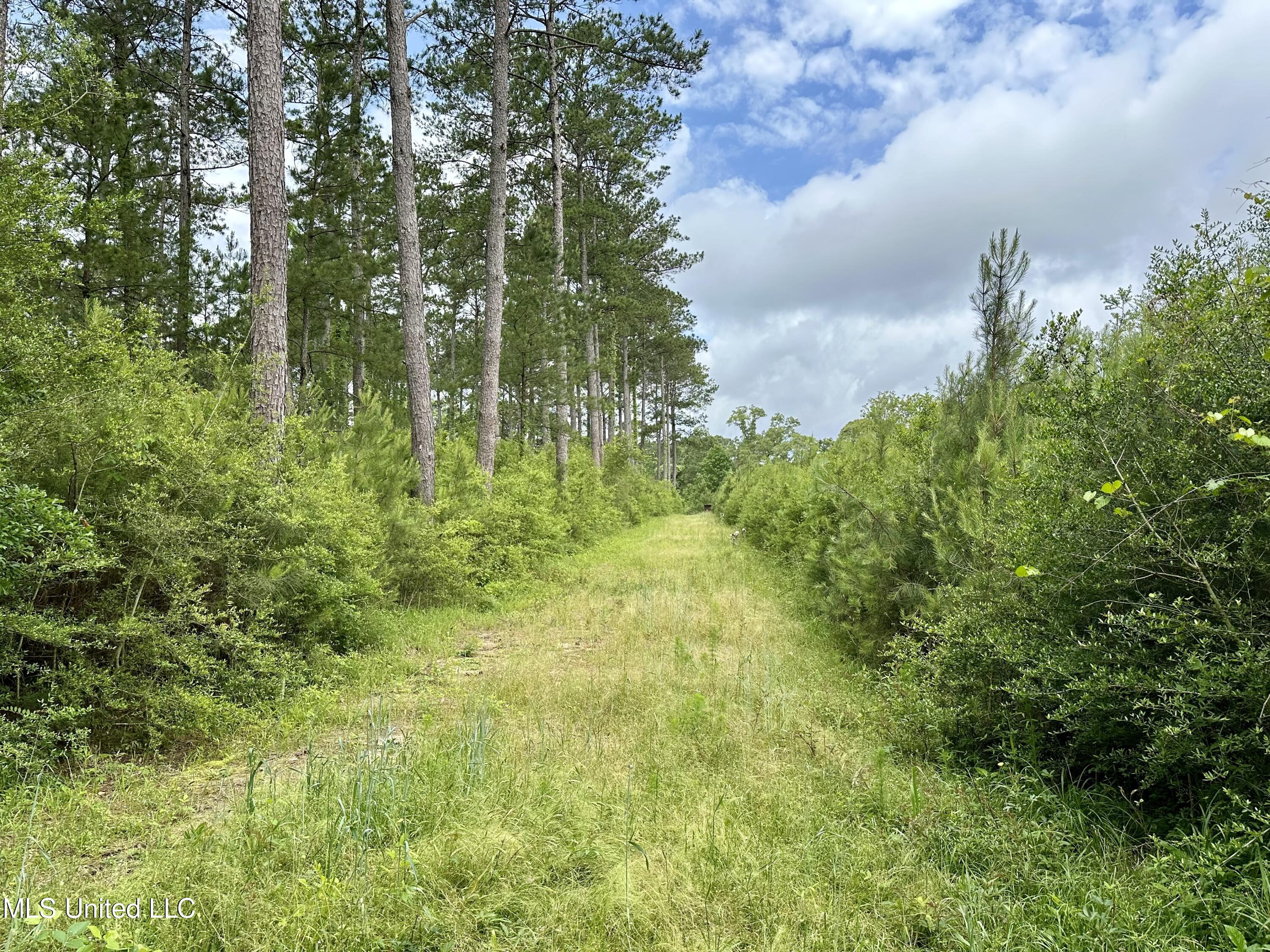 000 Old State Line Road, Tylertown, Mississippi image 4