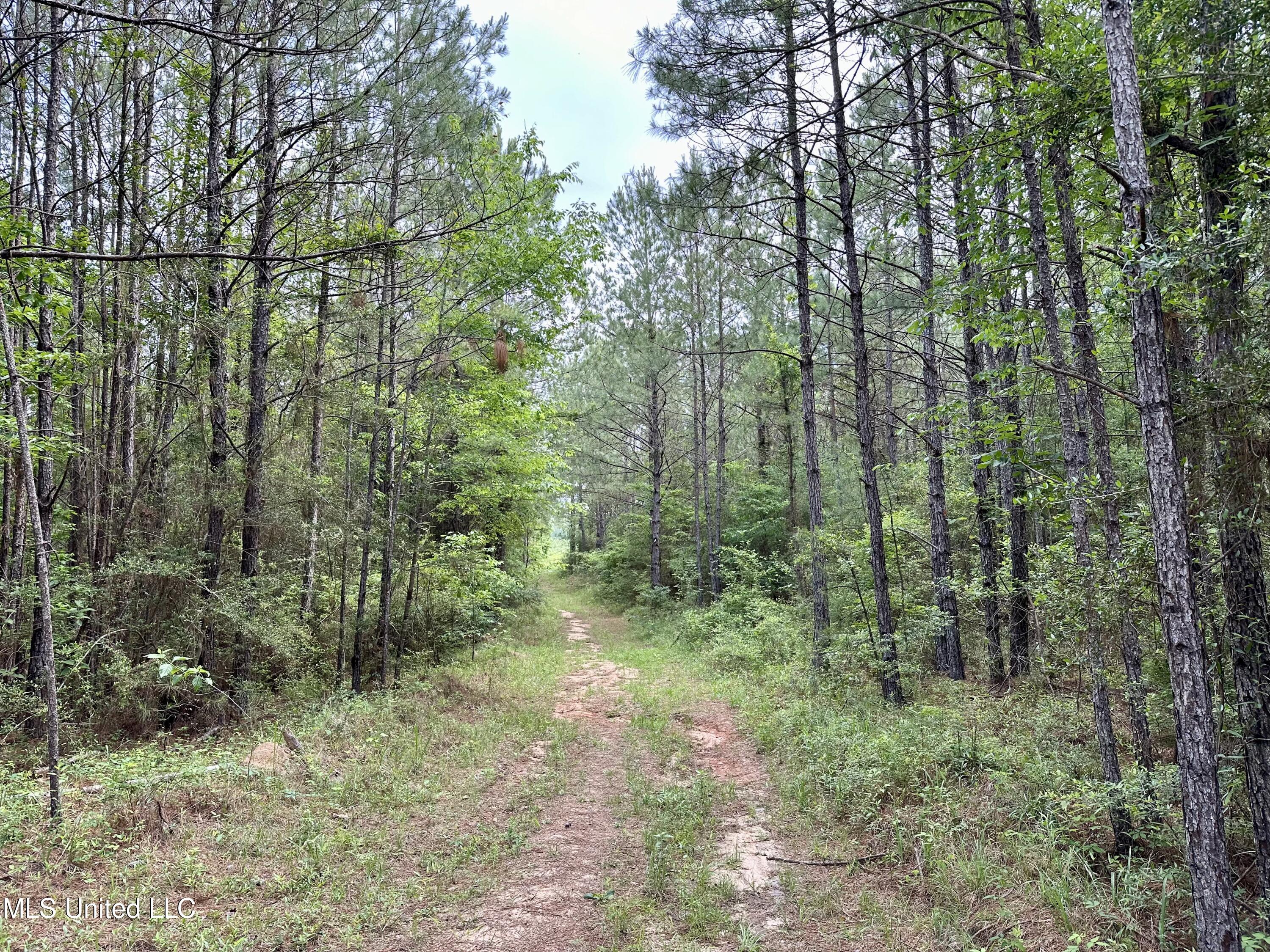 000 Old State Line Road, Tylertown, Mississippi image 8