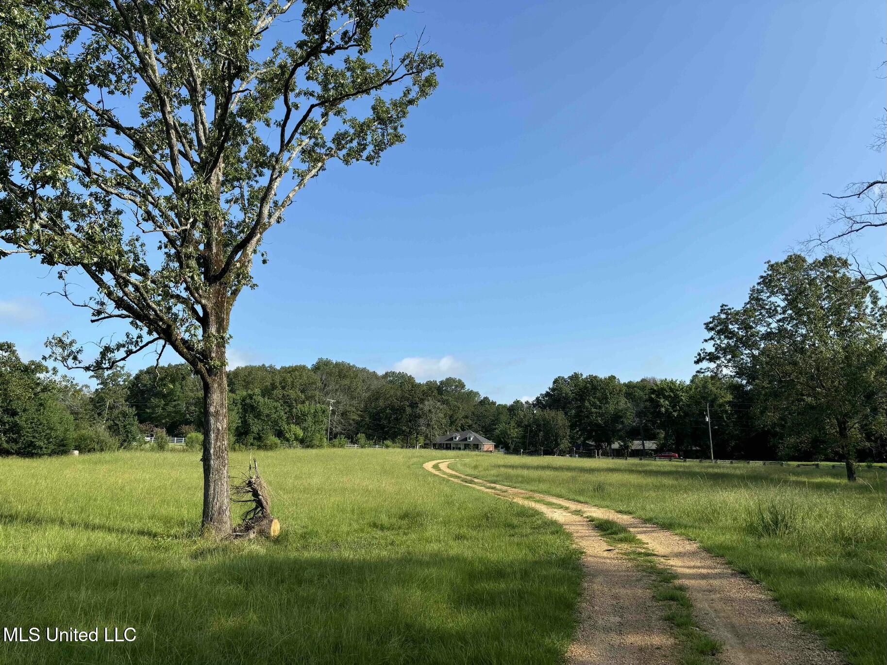 Baker Lane, Brandon, Mississippi image 29