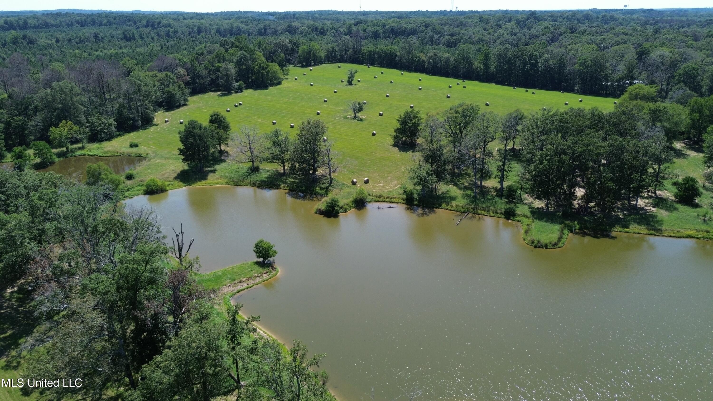 Baker Lane, Brandon, Mississippi image 6