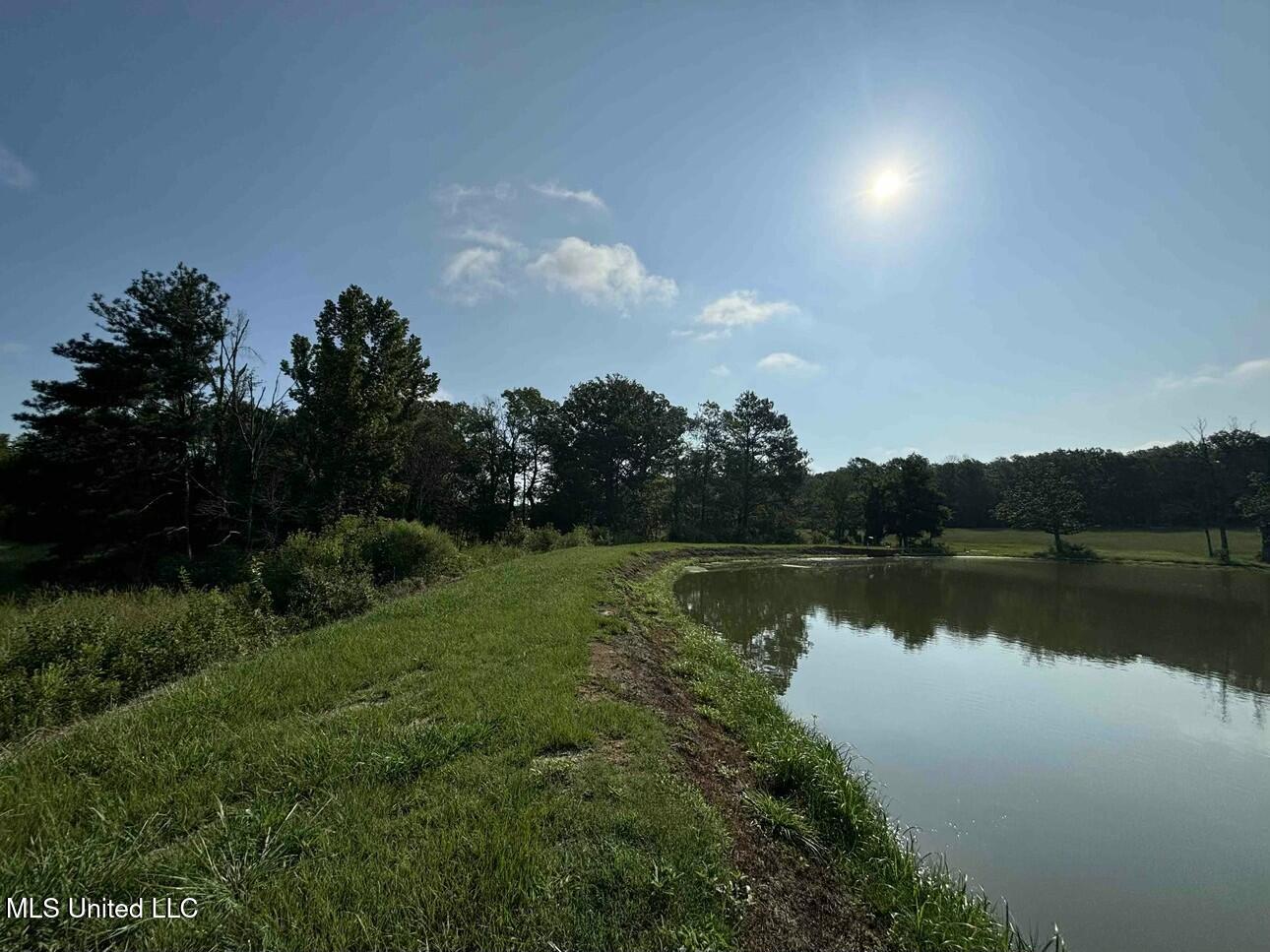 Baker Lane, Brandon, Mississippi image 28