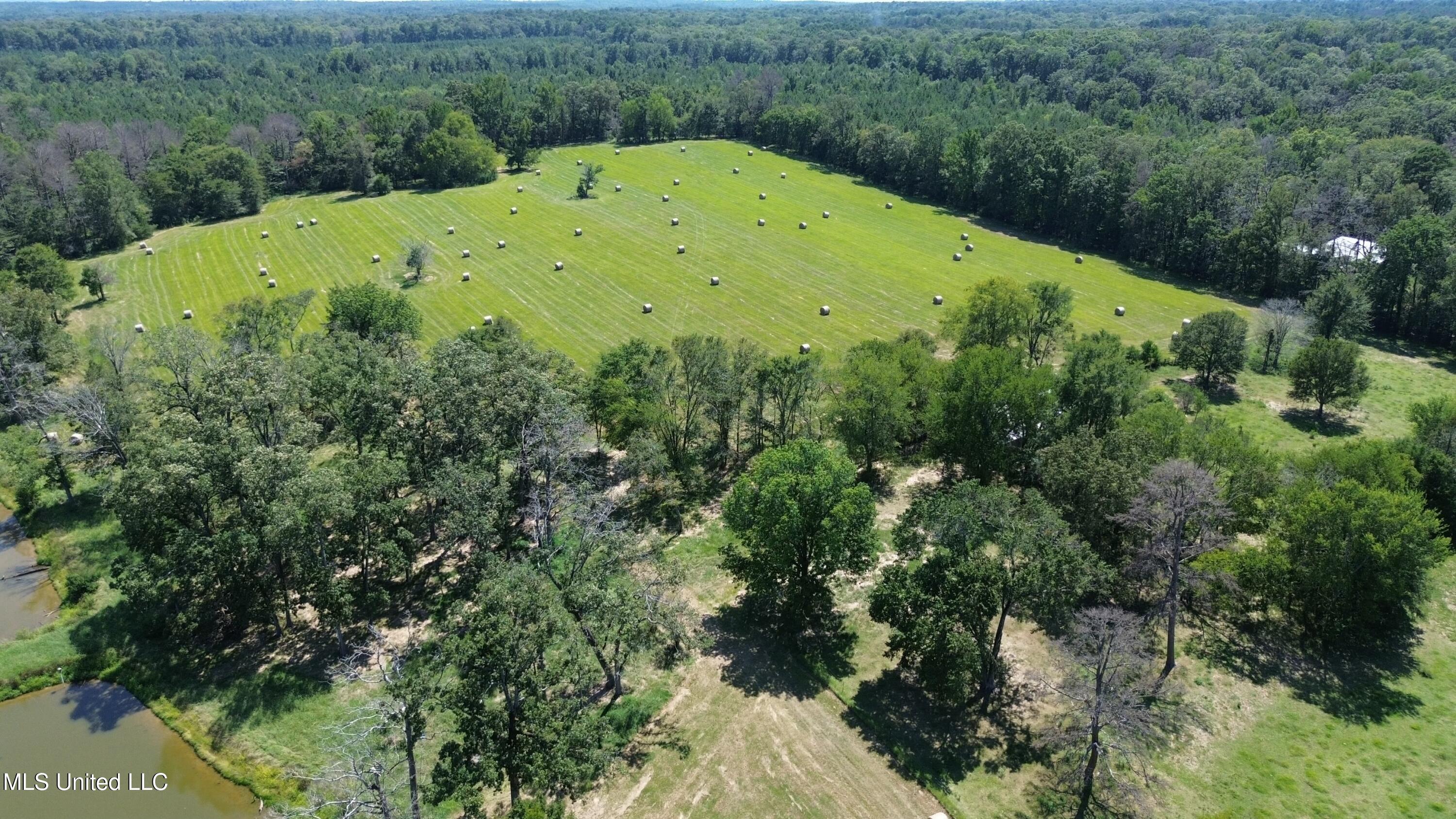 Baker Lane, Brandon, Mississippi image 5