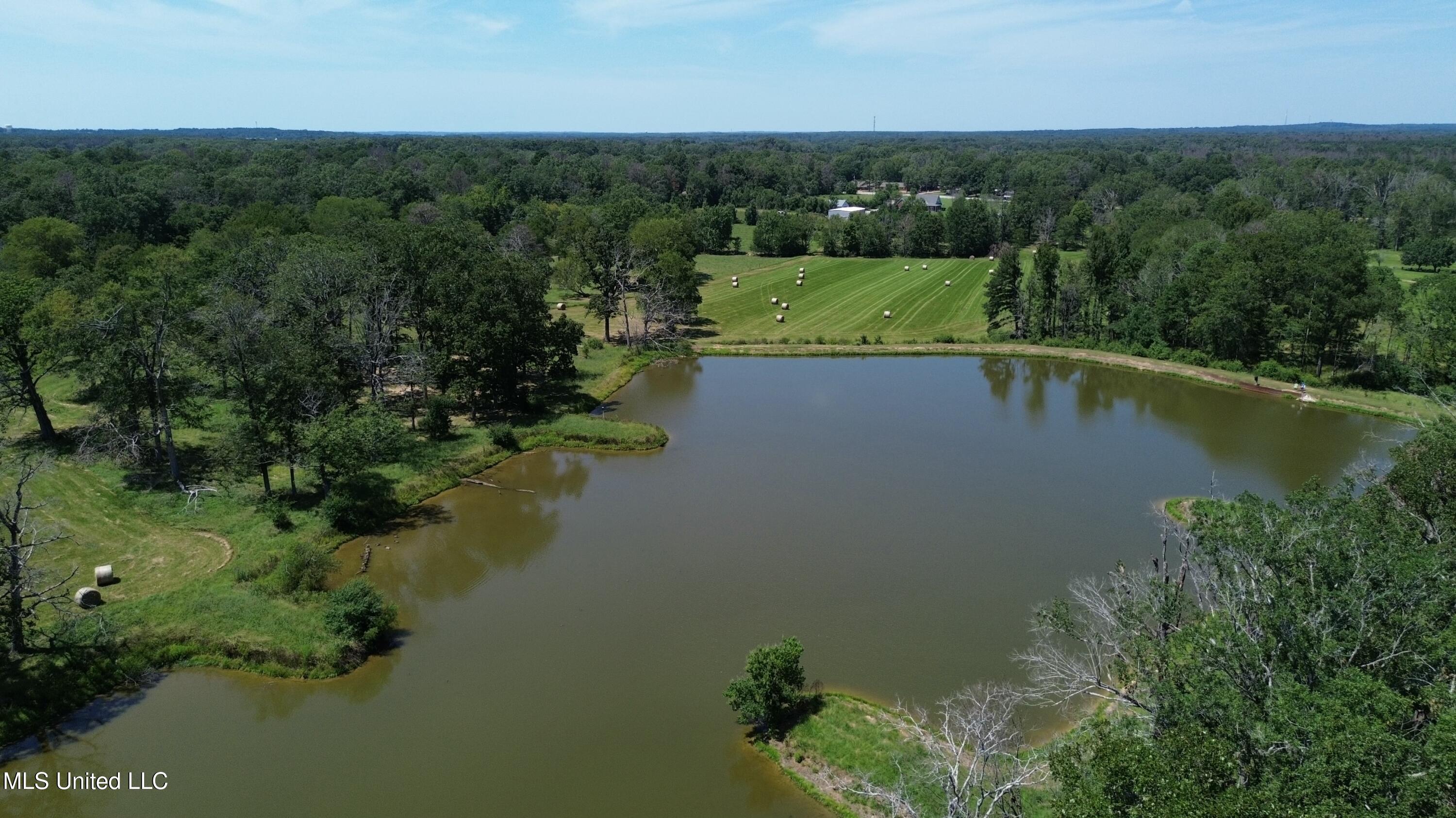 Baker Lane, Brandon, Mississippi image 2