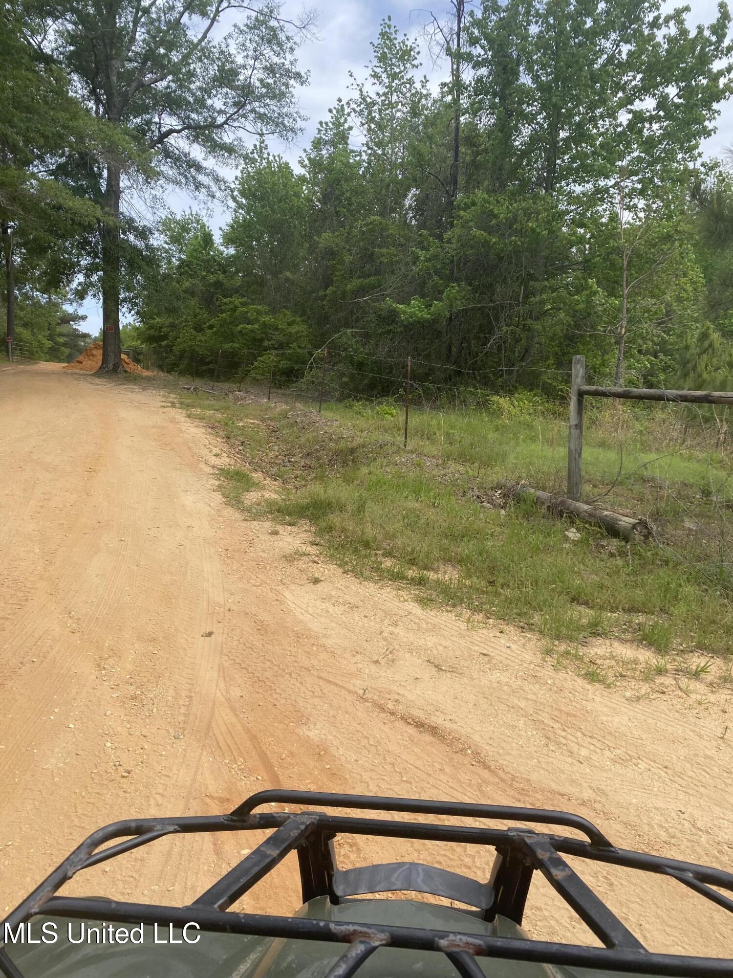Bryant Lane, Magee, Mississippi image 3