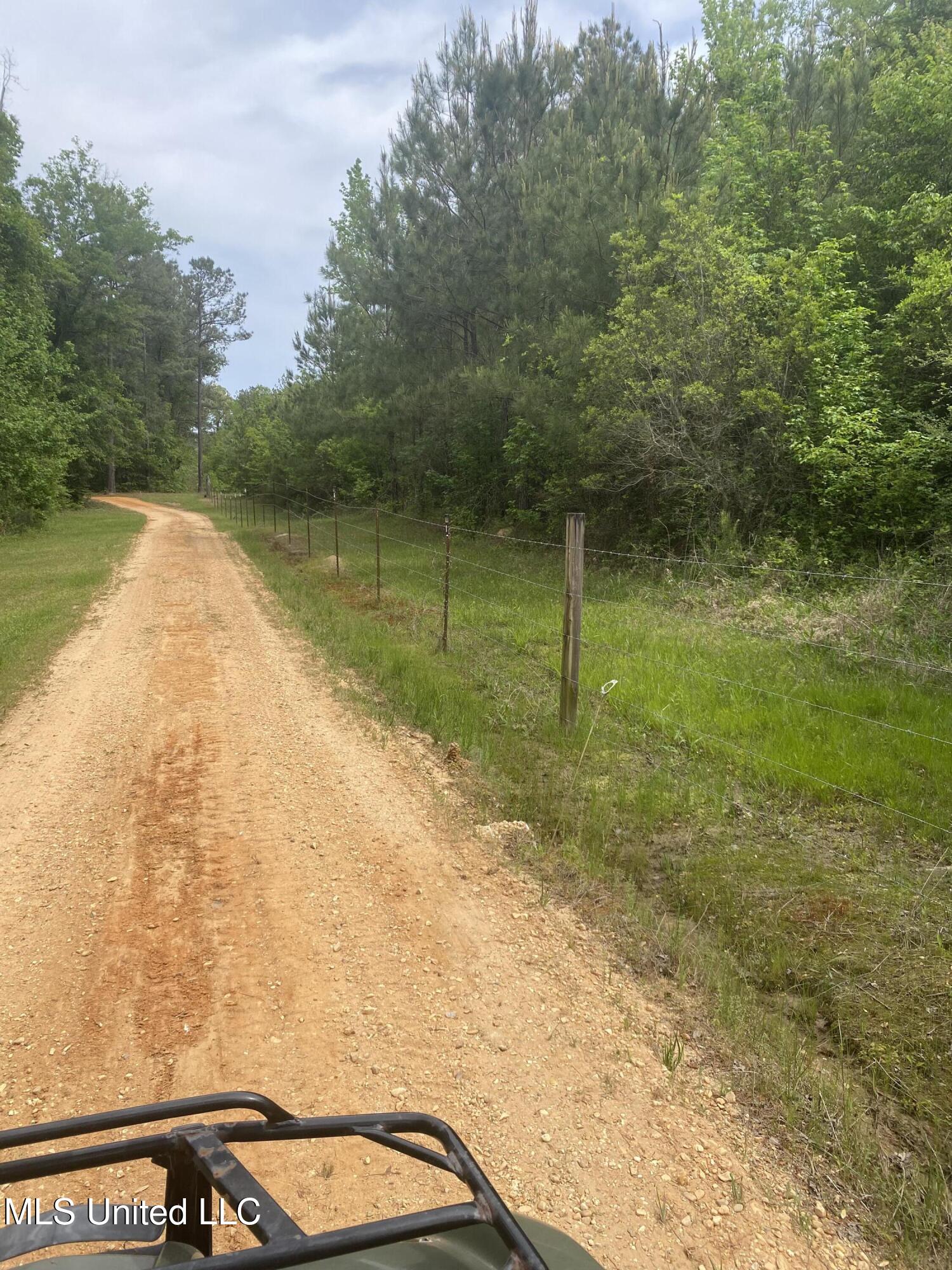 Bryant Lane, Magee, Mississippi image 6