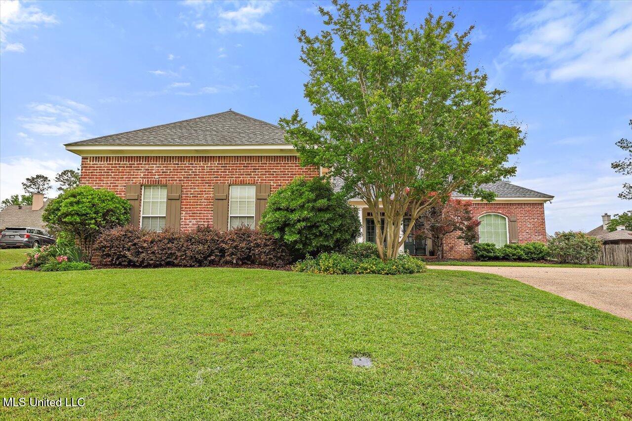 176 Woodlands Green Drive, Brandon, Mississippi image 2