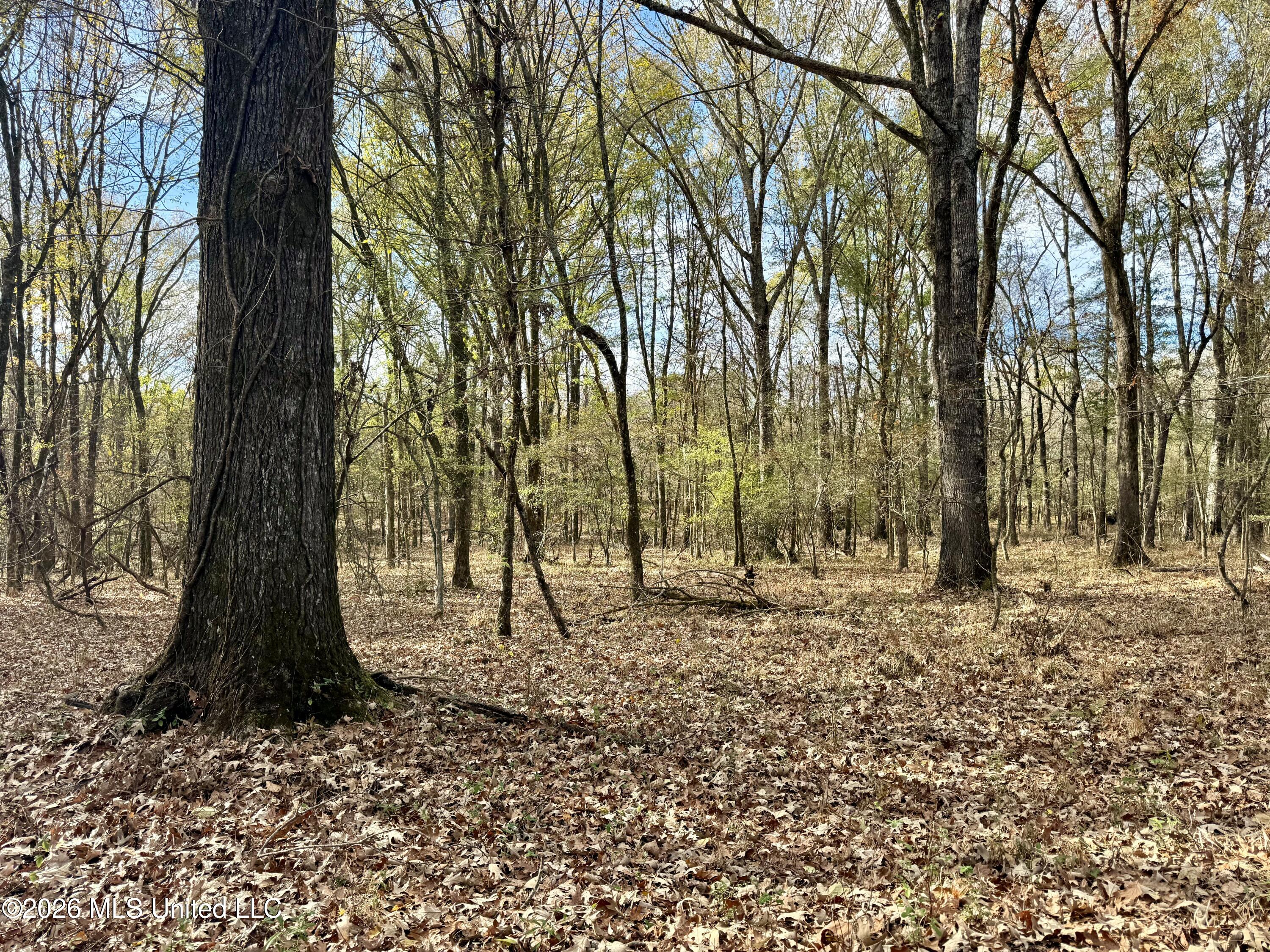 00560 Pocahontas Road