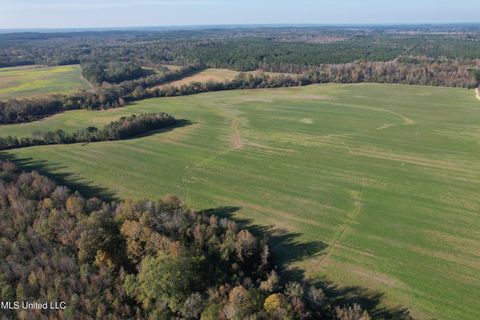 Vacant Land For Sale - Attala Road 4110<br/> Attala County, Sallis, MS 39160