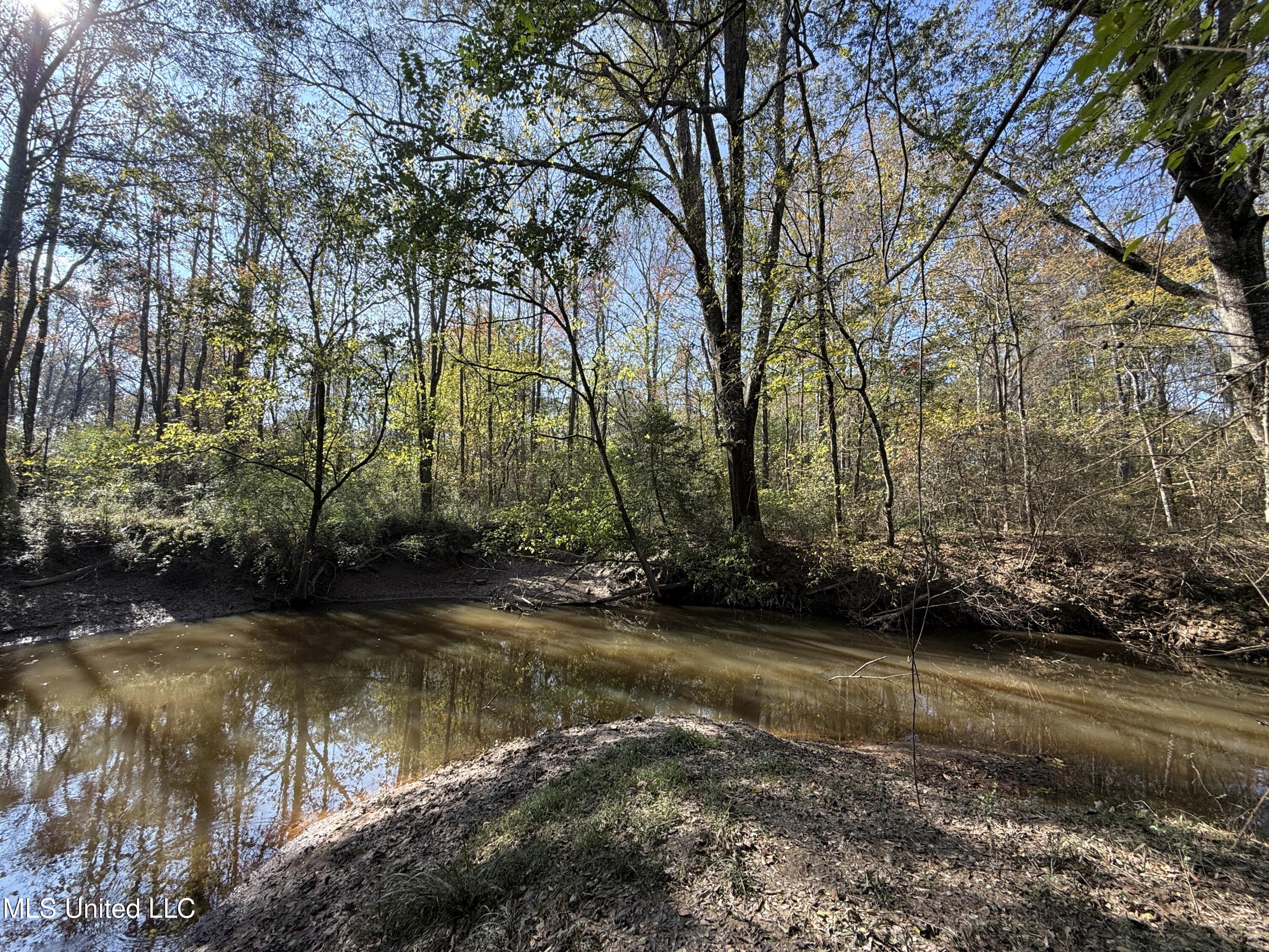 Attala Road 4110, Sallis, Mississippi image 8