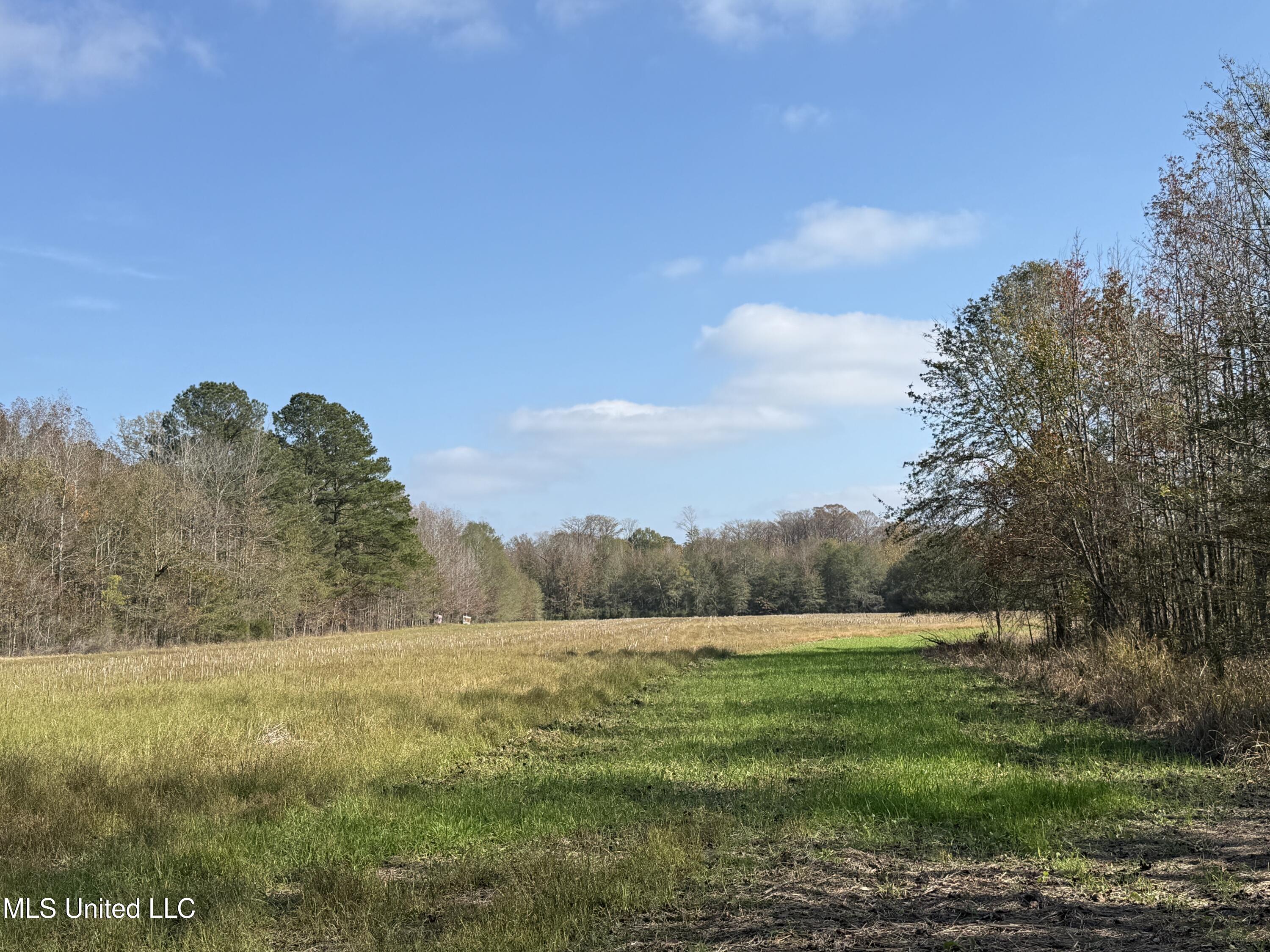 Attala Road 4110, Sallis, Mississippi image 3