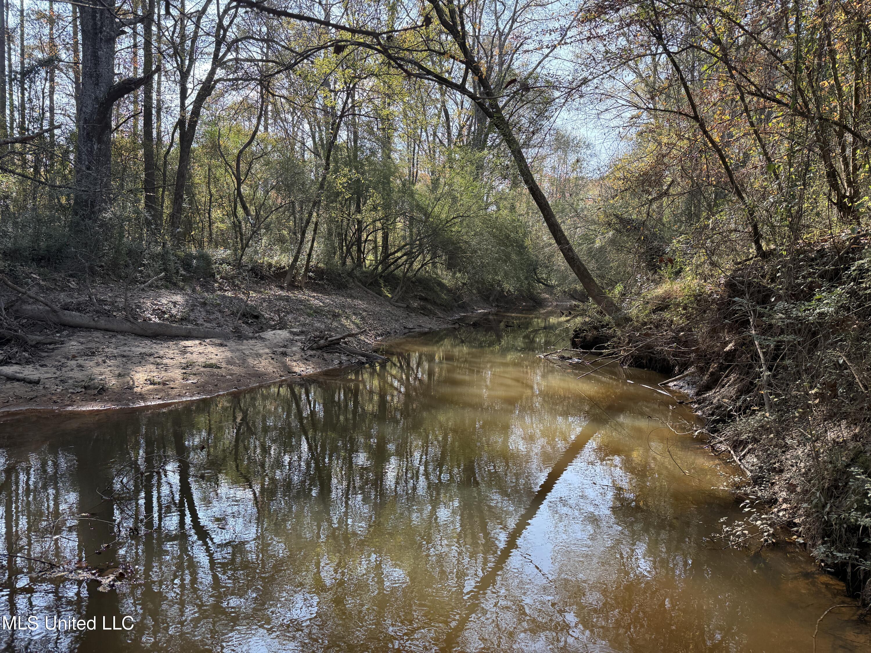 Attala Road 4110, Sallis, Mississippi image 7