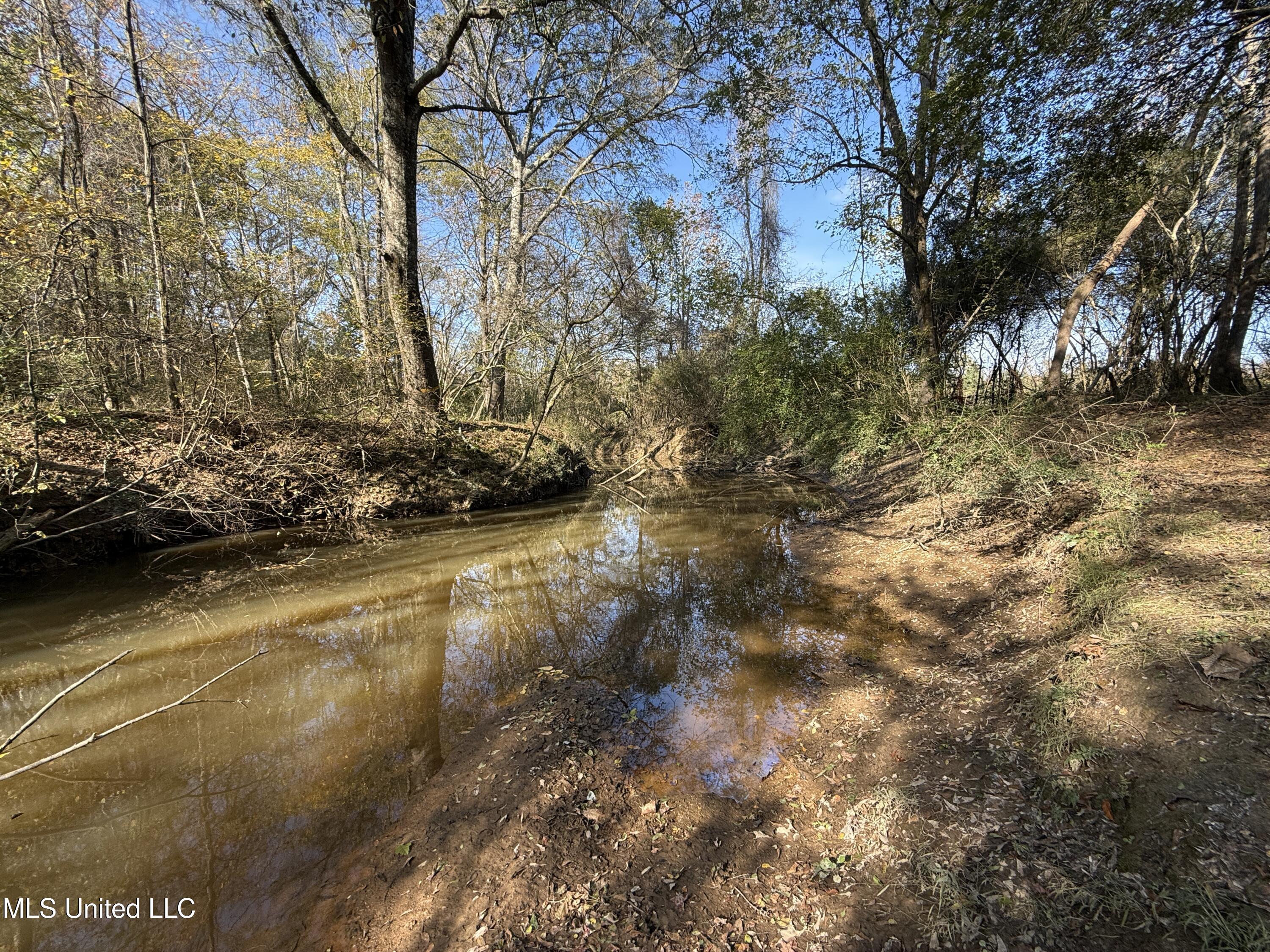 Attala Road 4110, Sallis, Mississippi image 9