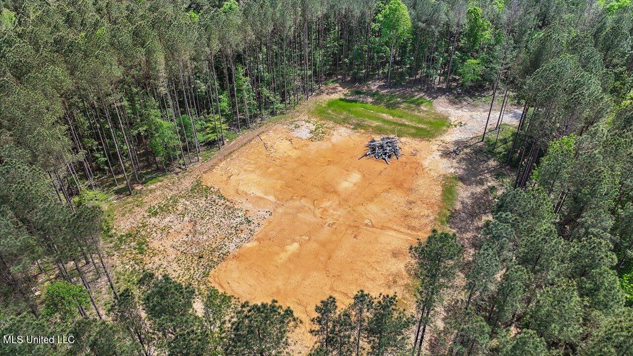 005 Pilgrim Rest Drive, Brandon, Mississippi image 30