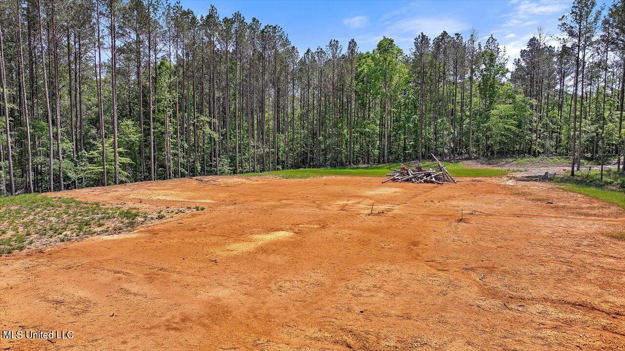 005 Pilgrim Rest Drive, Brandon, Mississippi image 6