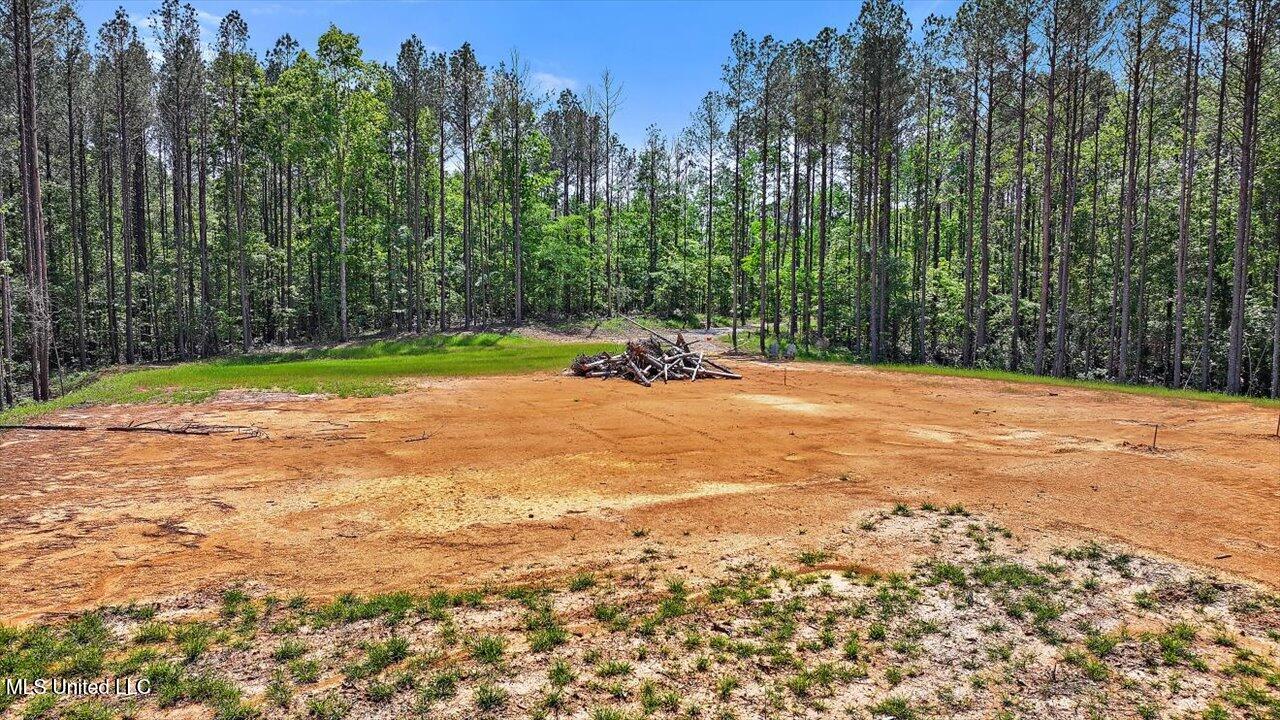 005 Pilgrim Rest Drive, Brandon, Mississippi image 7