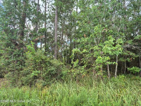 Vacant Land For Sale - Onega Street<br/> Bay Saint Louis, MS 39520