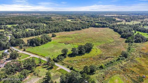 Vacant Land For Sale - Dry Creek Road<br/> Magee, MS 39111