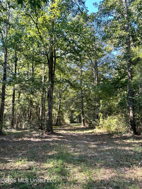 Vacant Land For Sale - Dickey Mills Road<br/> Magnolia, MS 39652