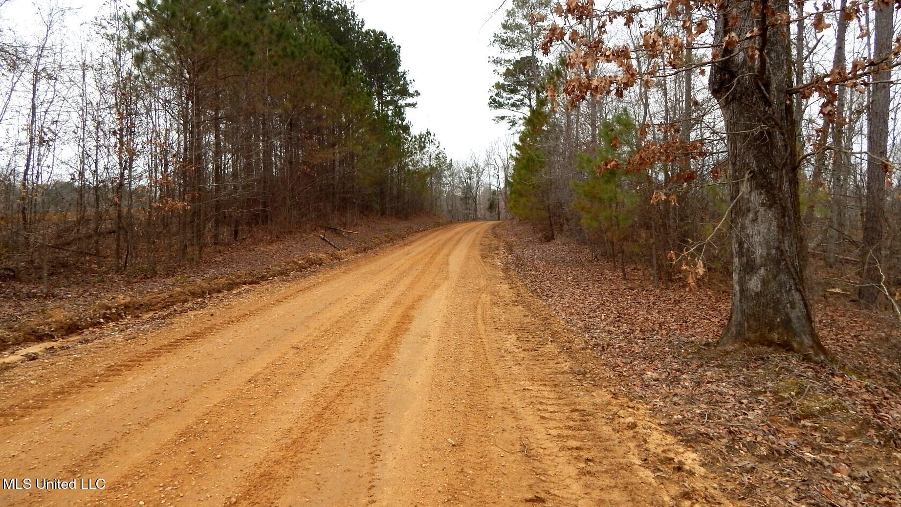 62 Ac. Bethel Church Road, Grenada, Mississippi image 12