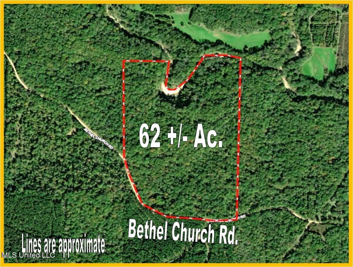 62 Ac. Bethel Church Road, Grenada, Mississippi image 2