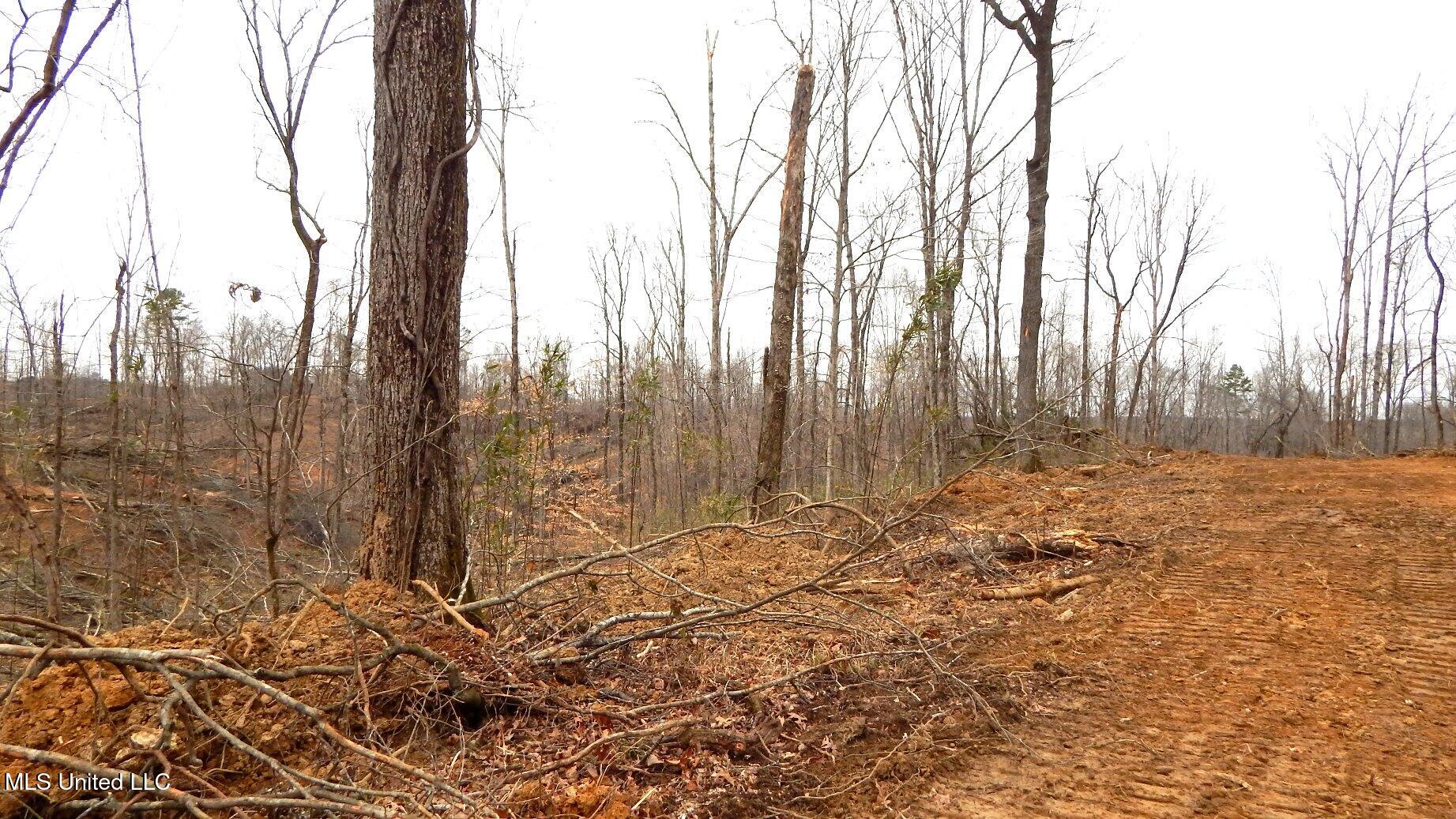 62 Ac. Bethel Church Road, Grenada, Mississippi image 8