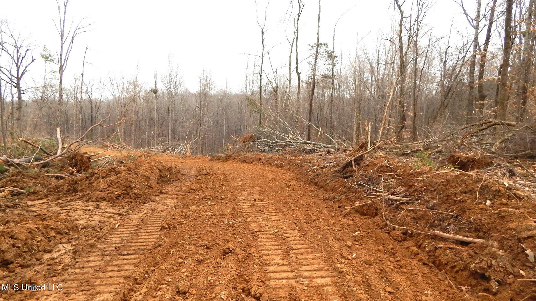 62 Ac. Bethel Church Road, Grenada, Mississippi image 7