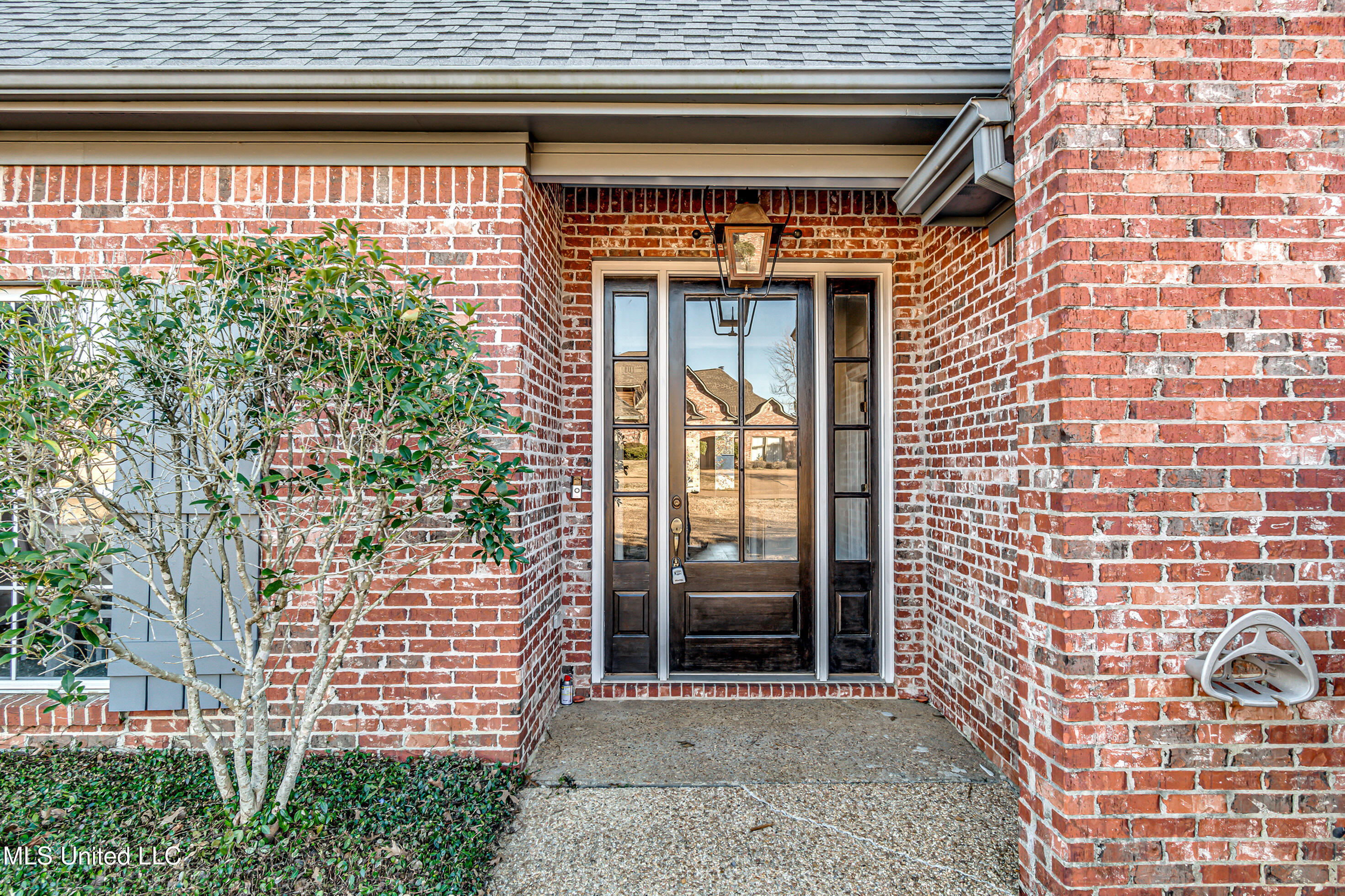 221 Sycamore Lane, Madison, Mississippi image 9